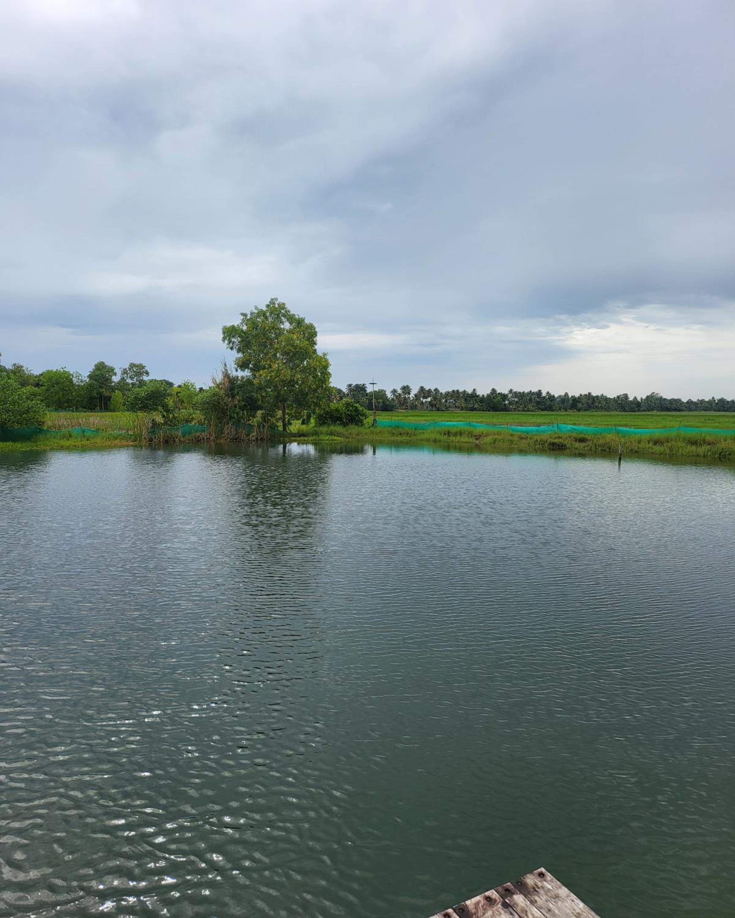 Pambaram Farms
