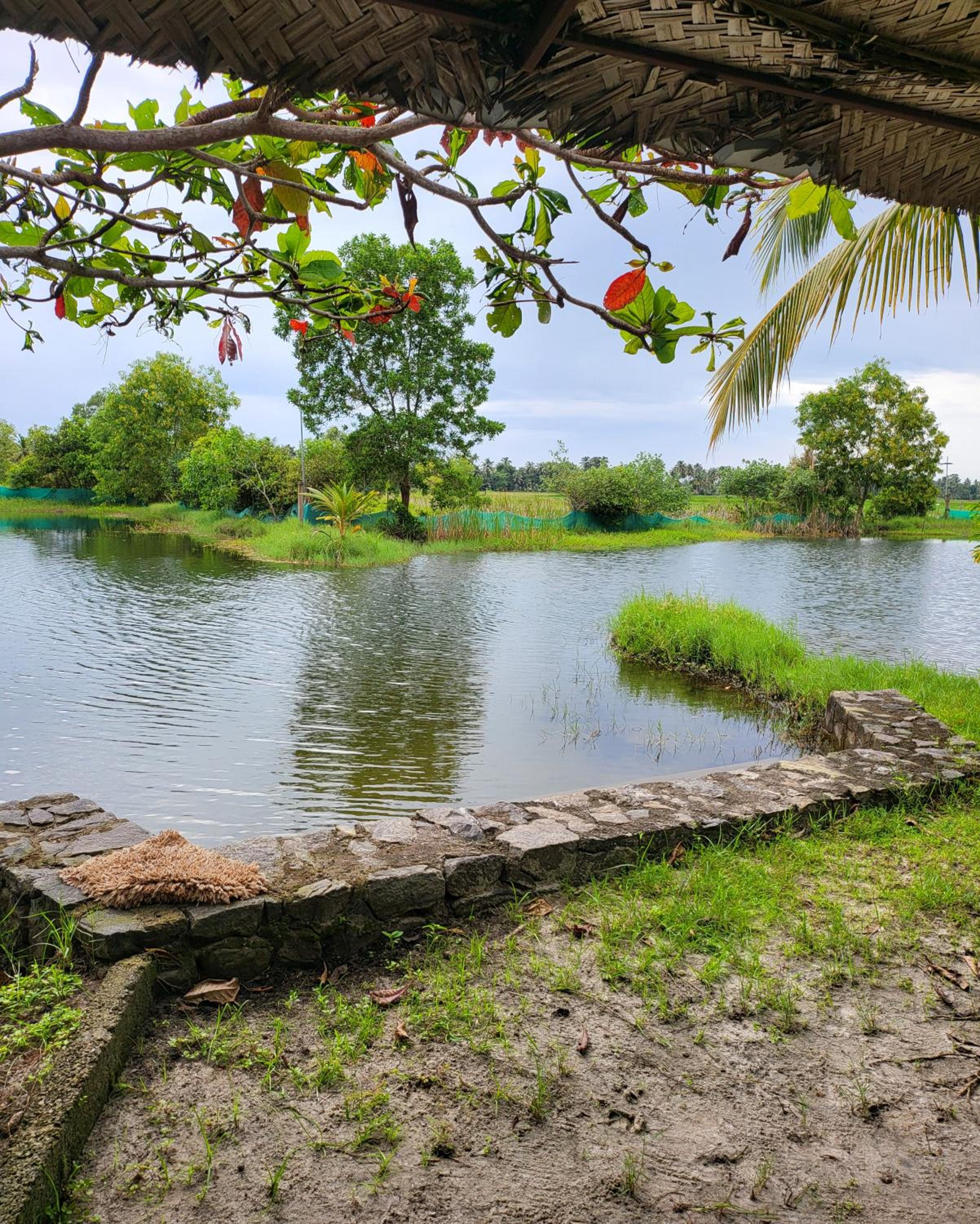 Pambaram Farms