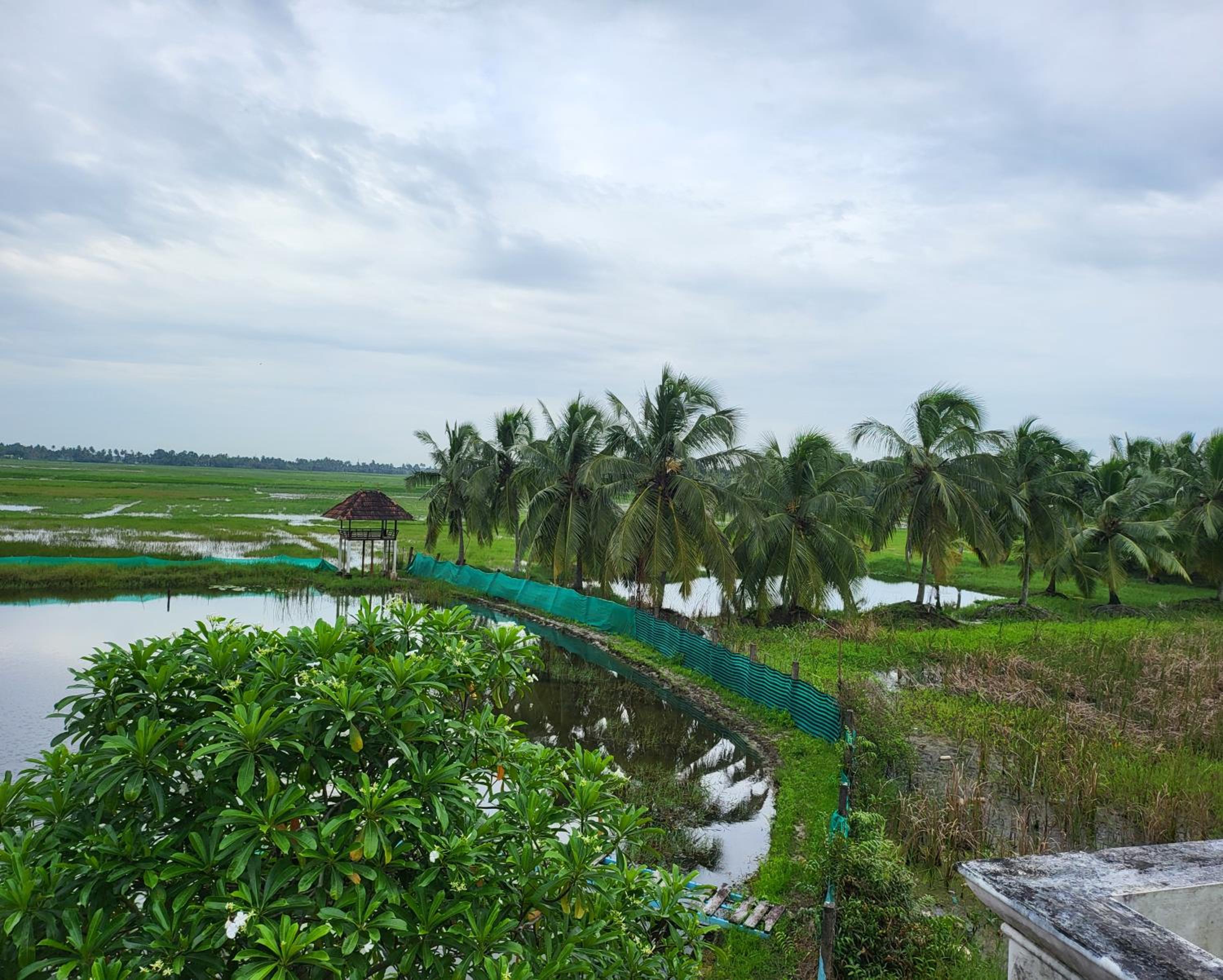 Pambaram Farms