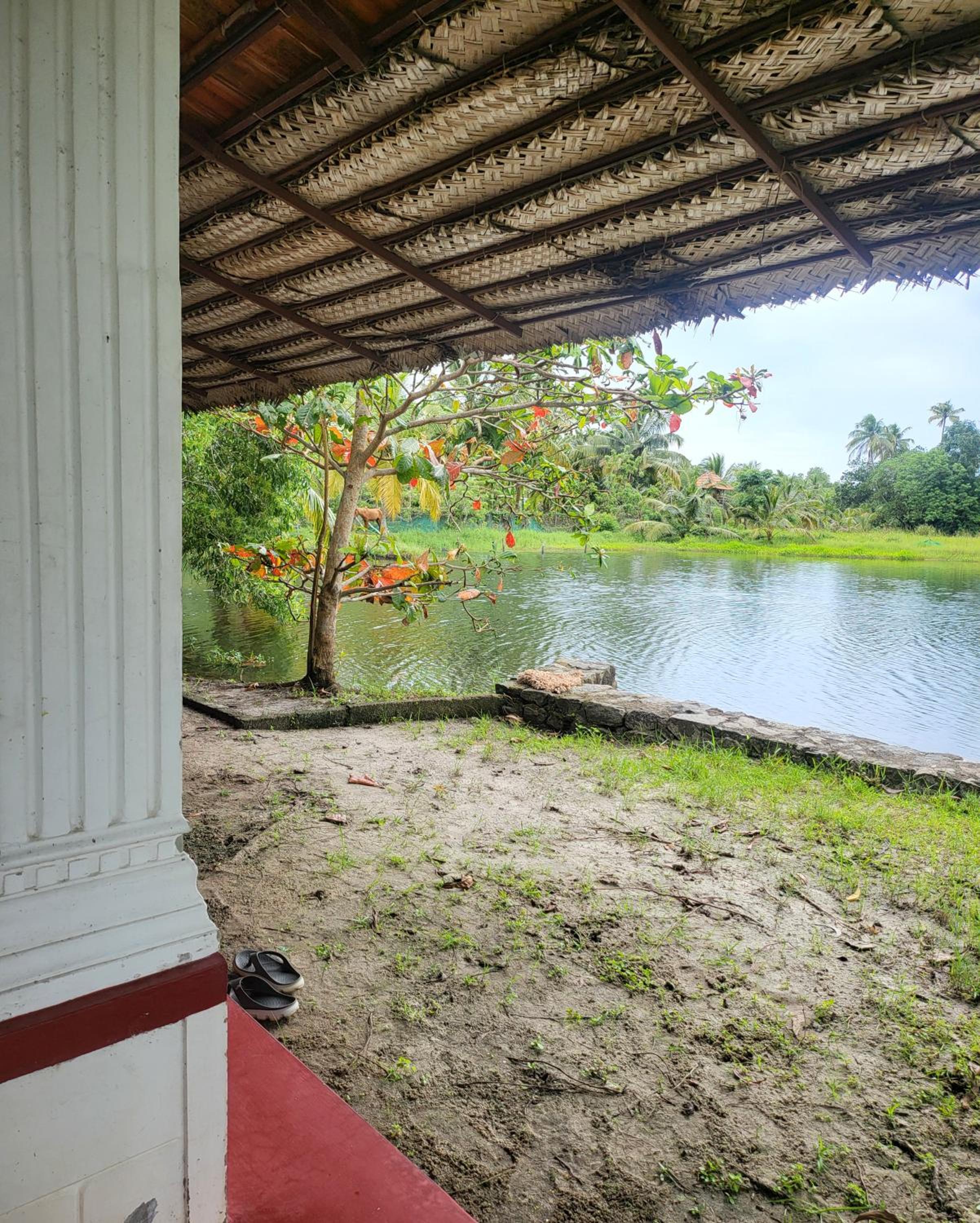 Pambaram Farms