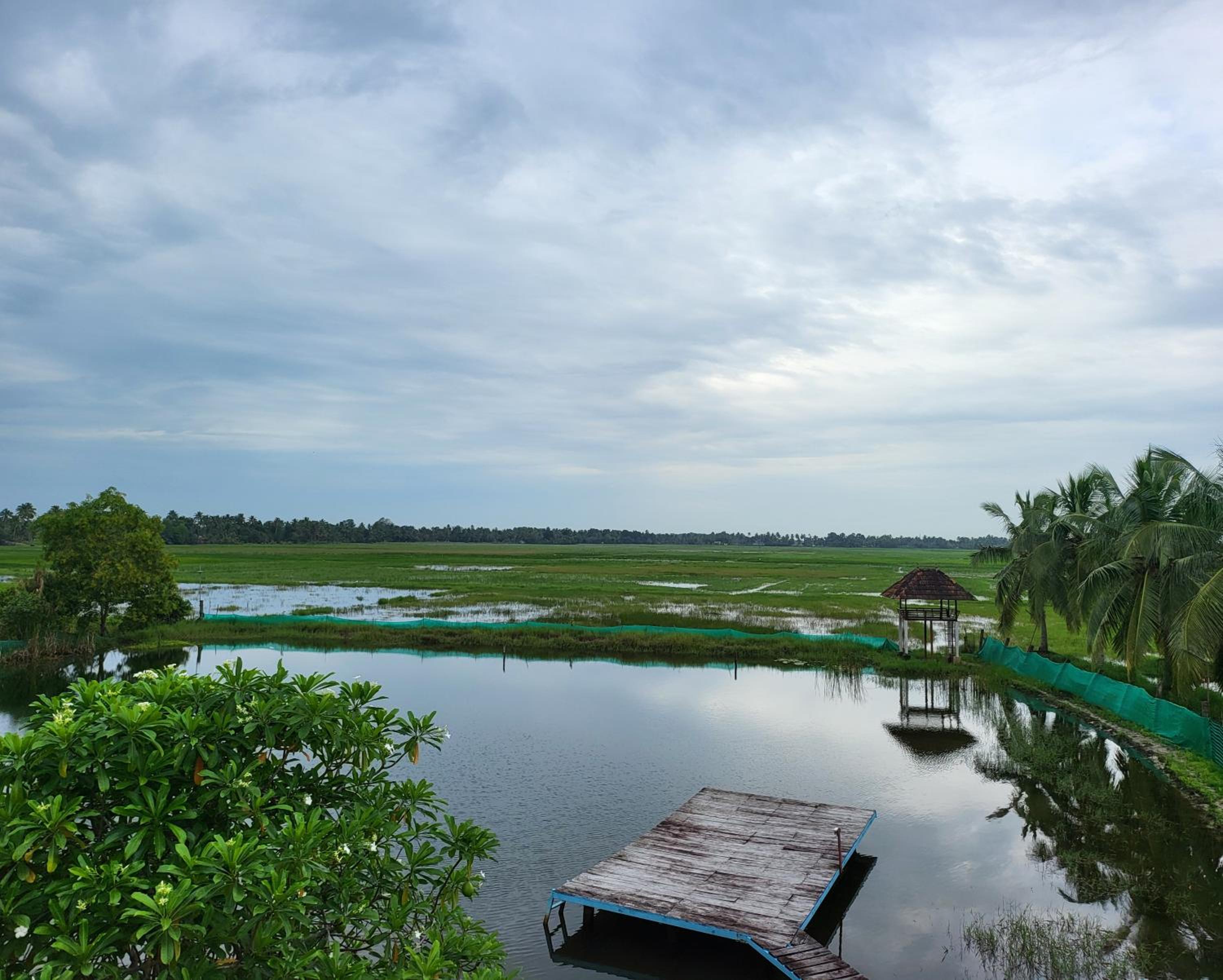 Pambaram Farms