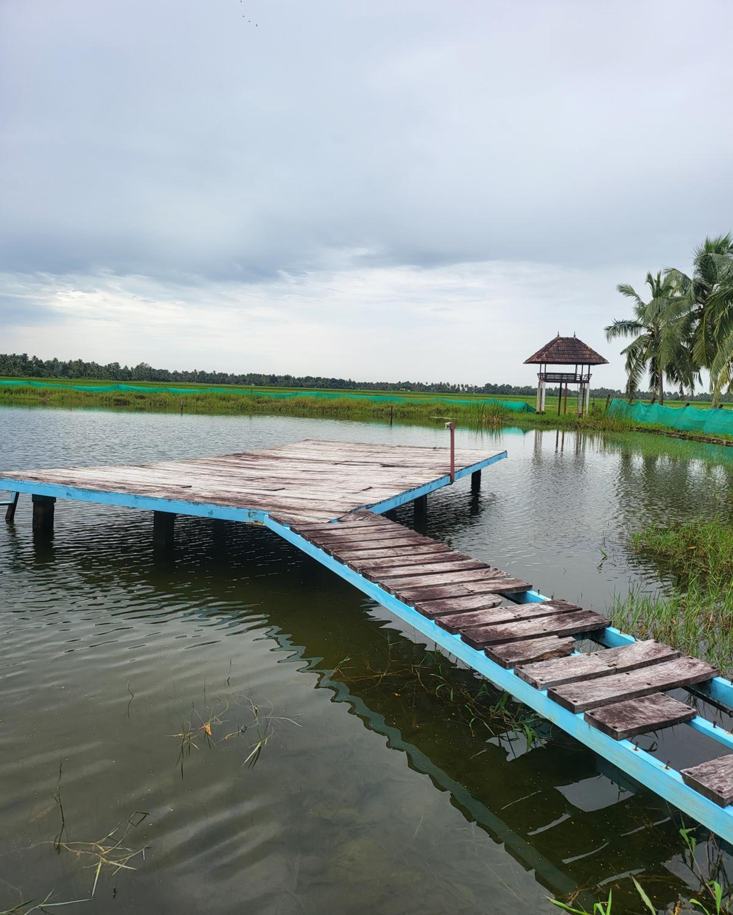 Pambaram Farms