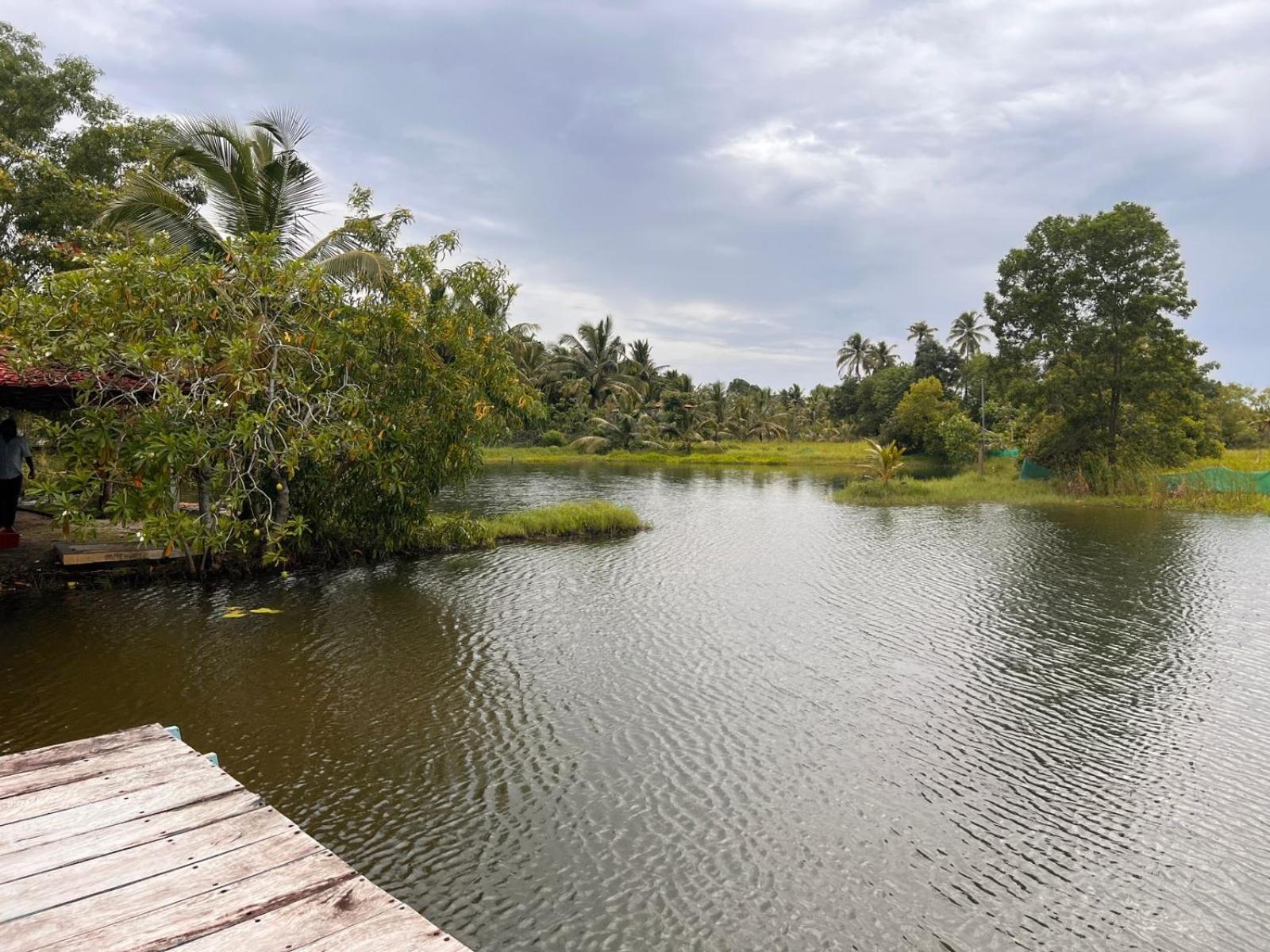 Pambaram Farms