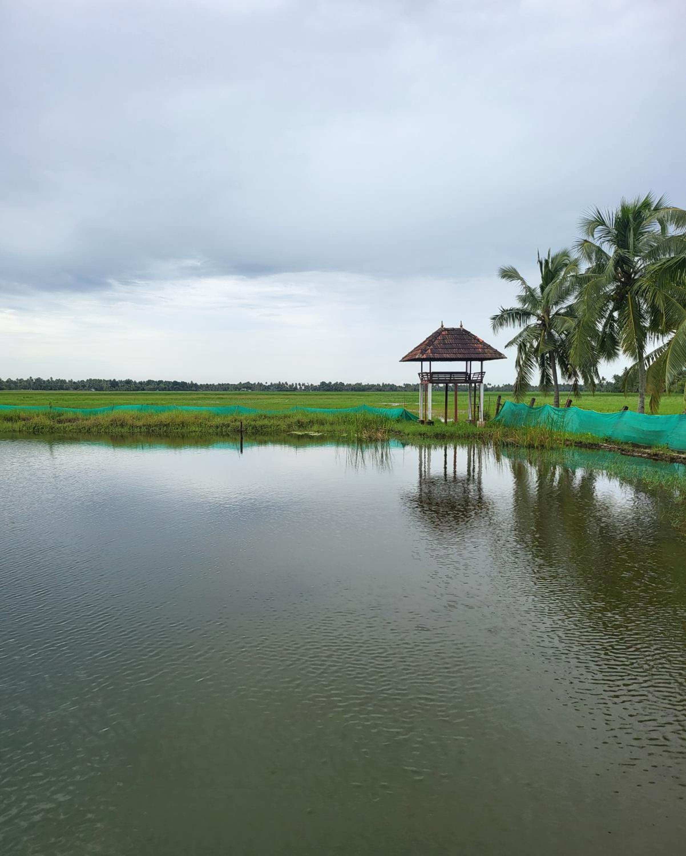 Pambaram Farms