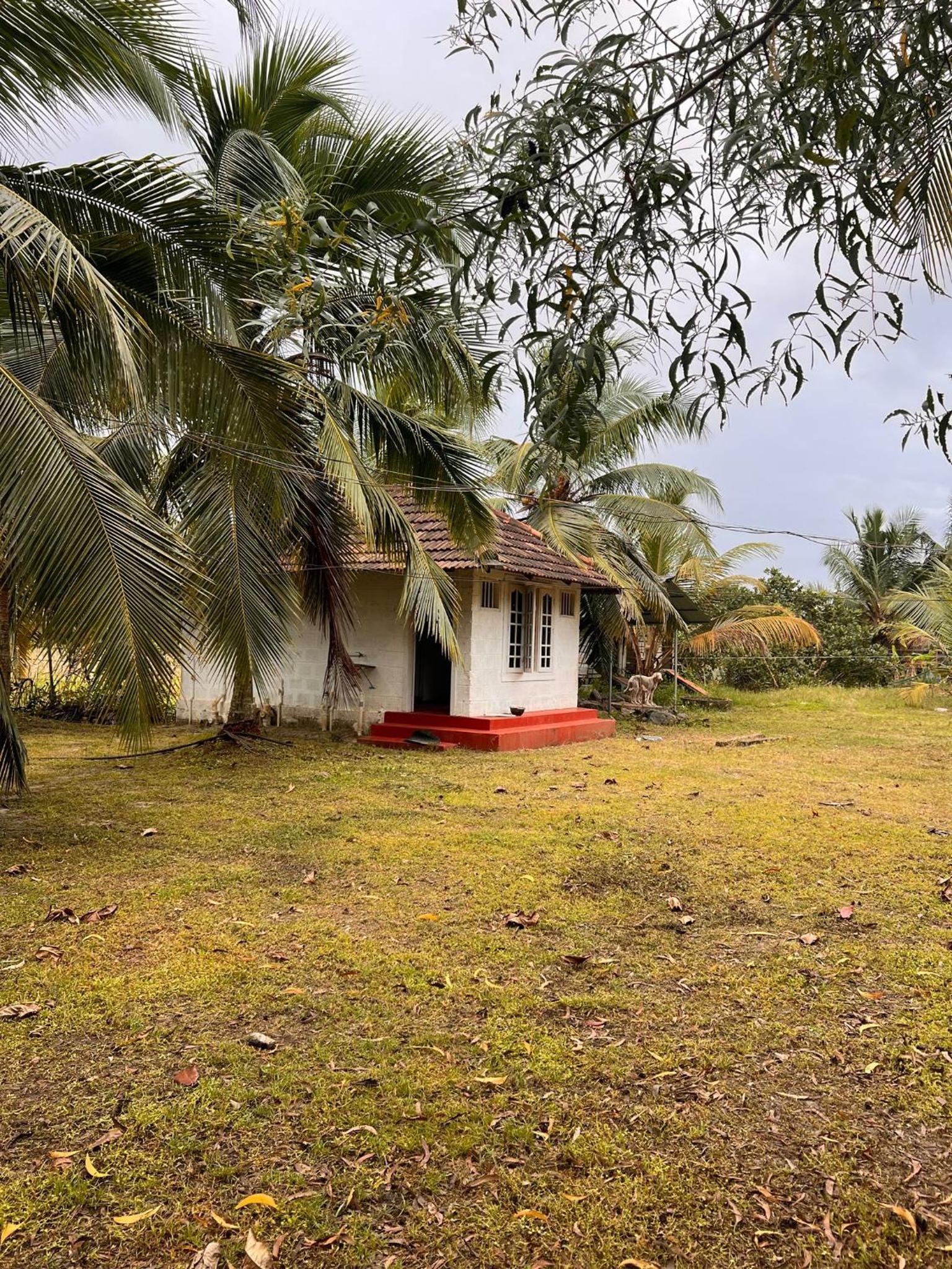 Pambaram Farms