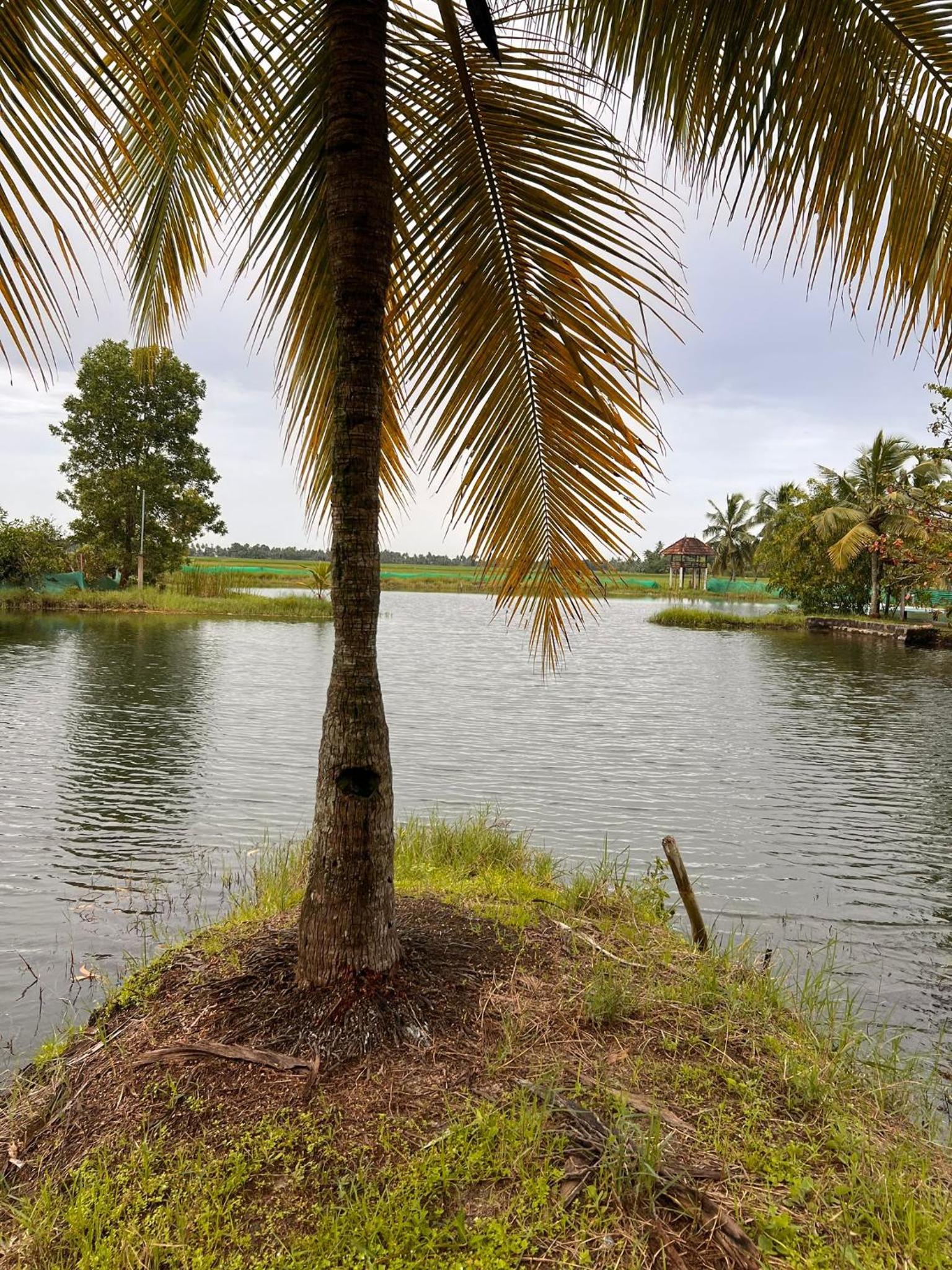 Pambaram Farms