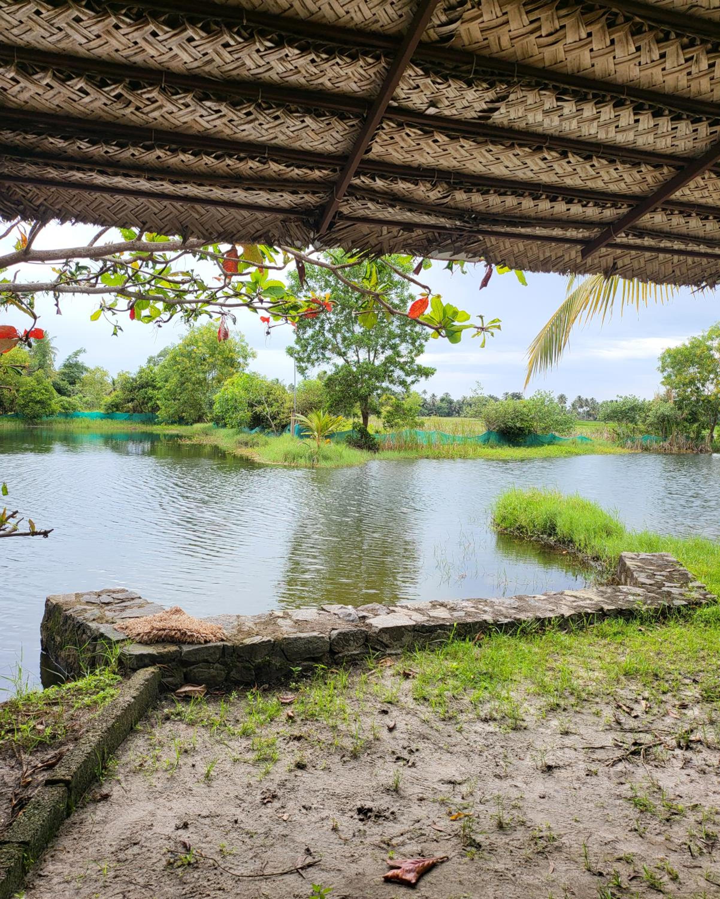 Pambaram Farms