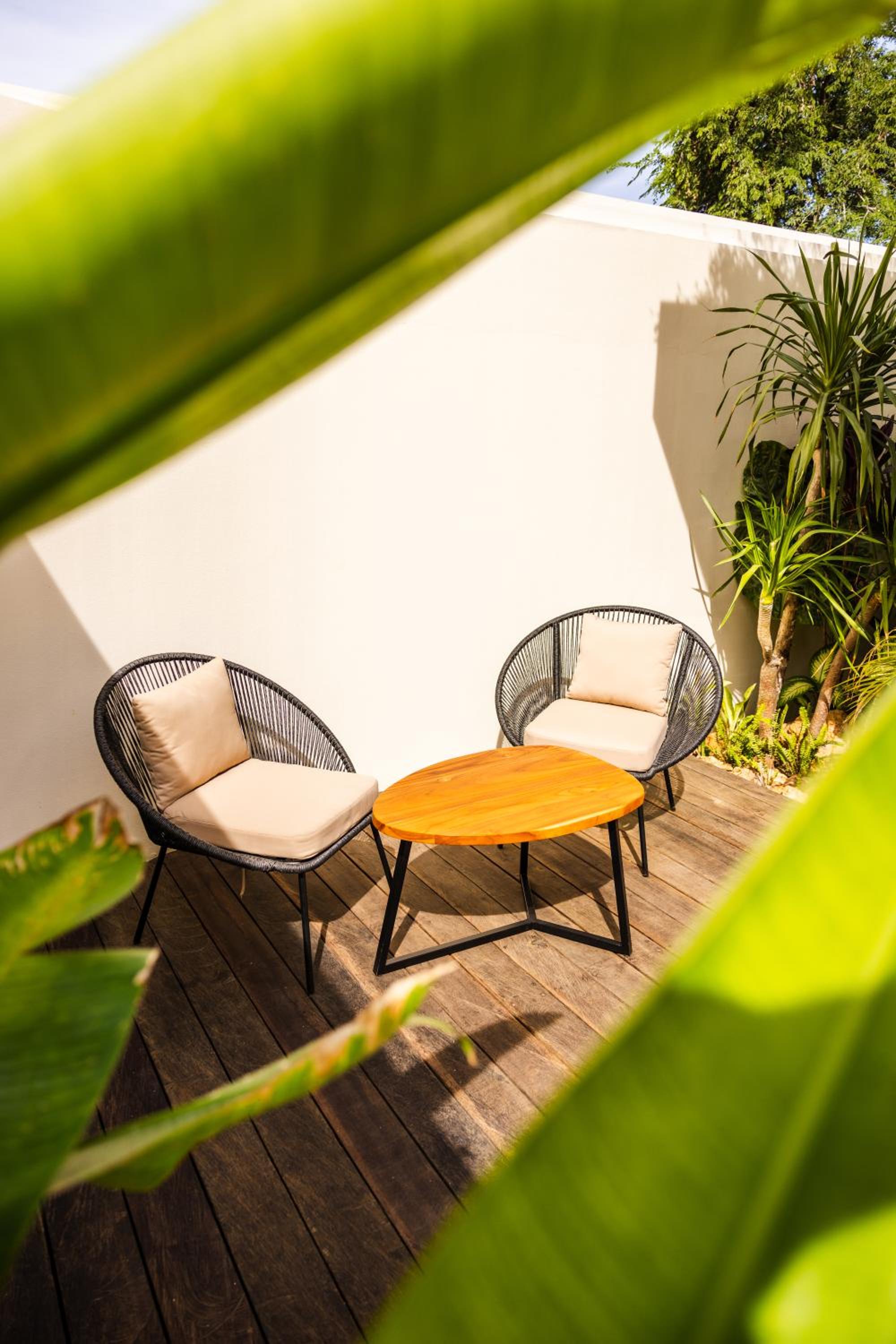 balance & terrace