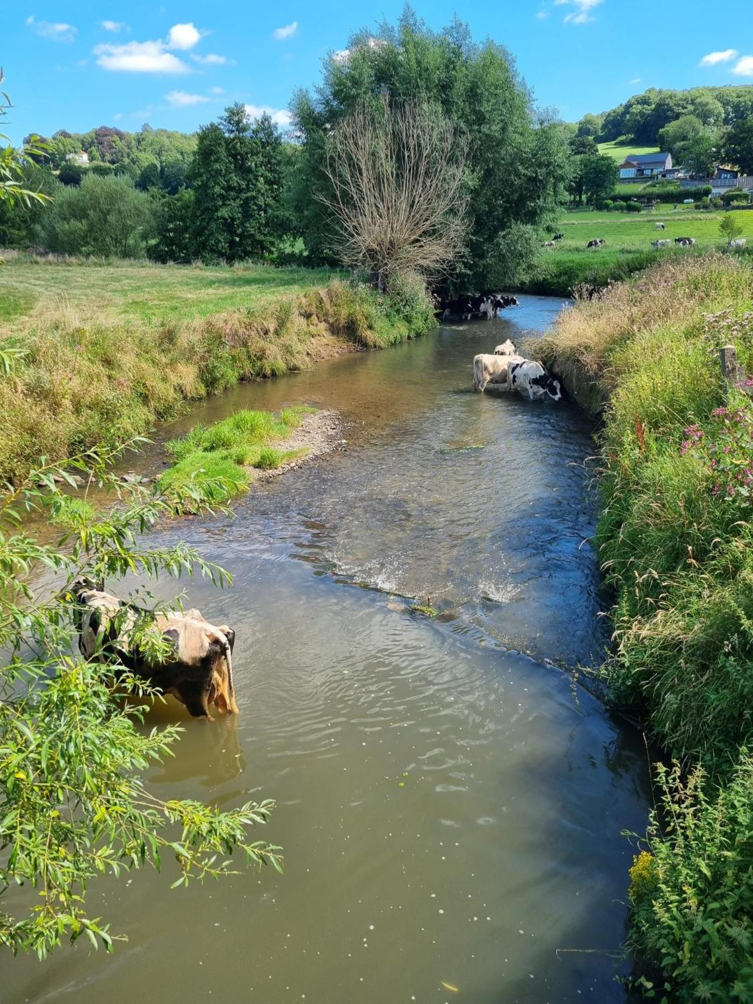 't Partijerhöfke view 3