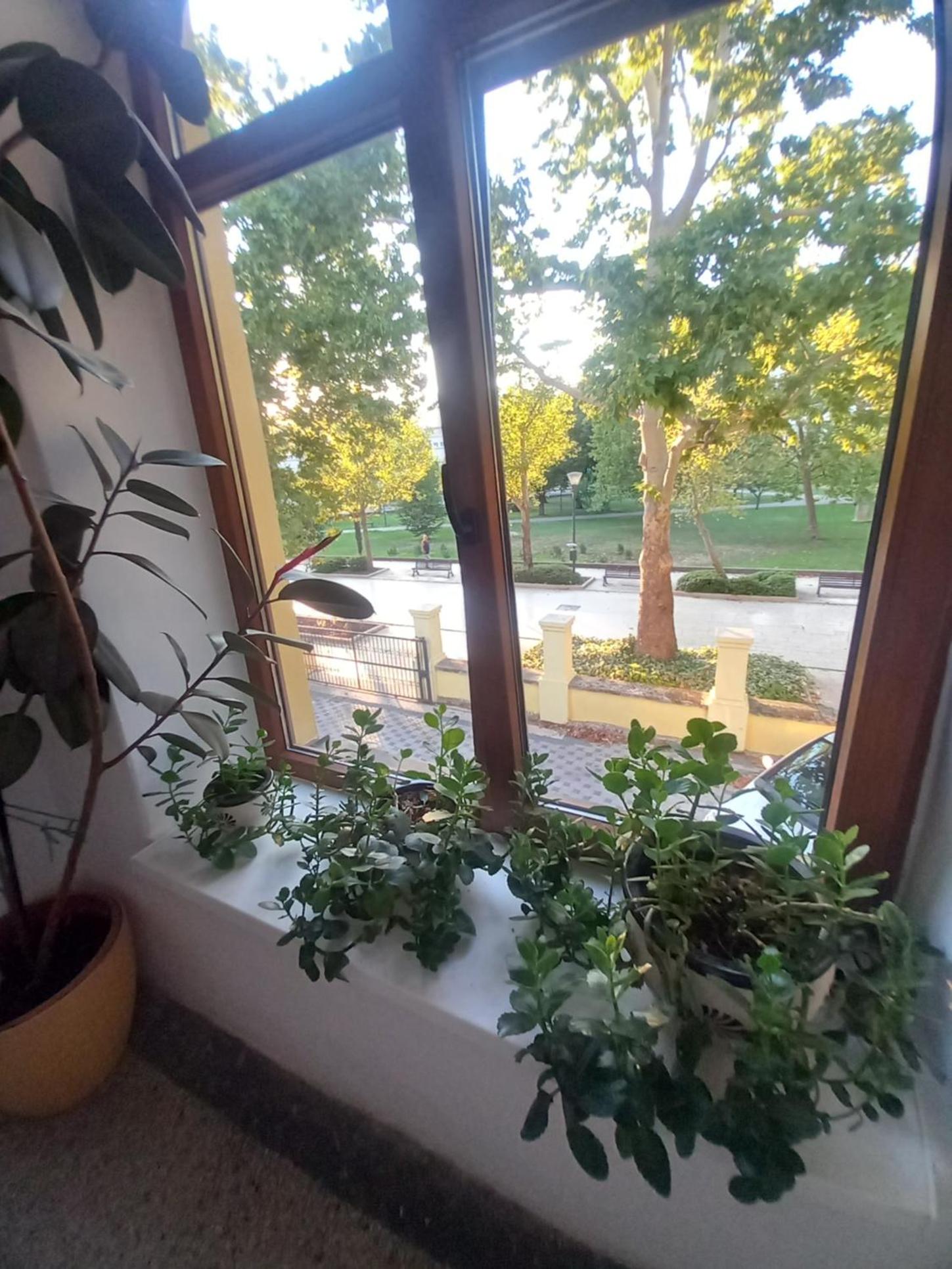 Apartman Promenade Mostar