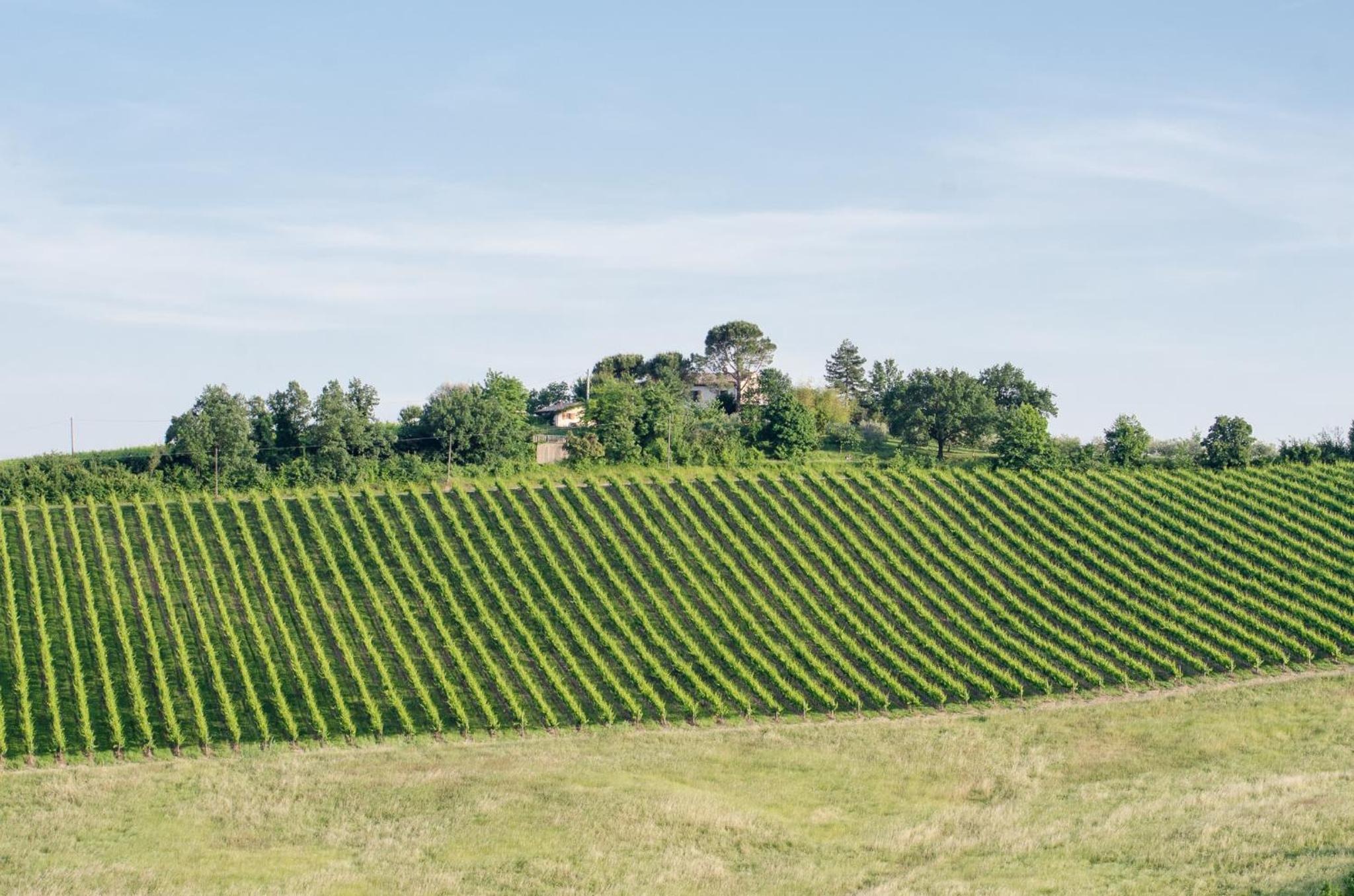 Agriturismo Ca'de'Gatti