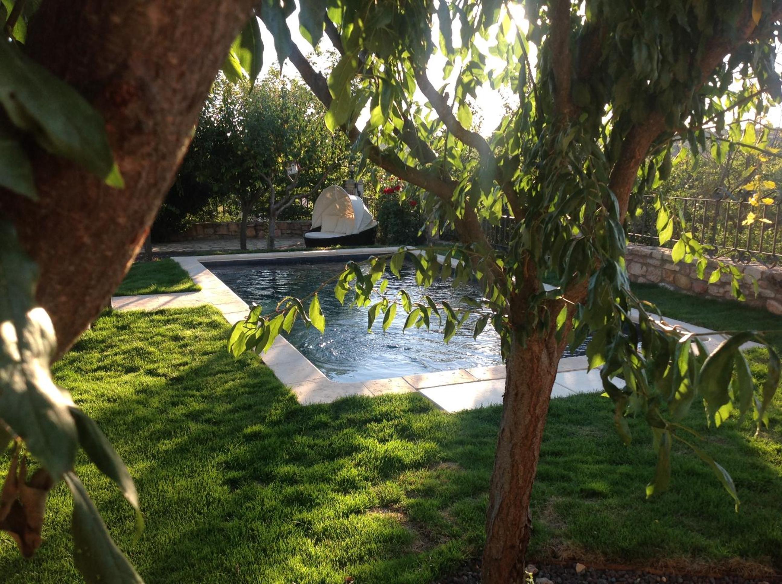 Photo 16