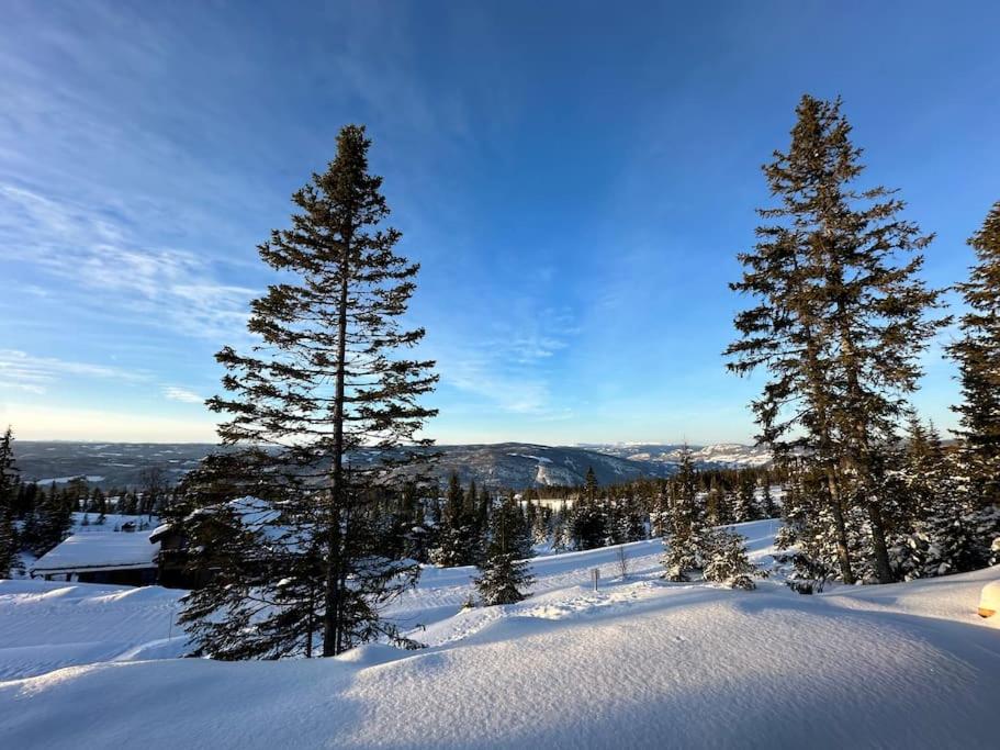 New chalet with great view
