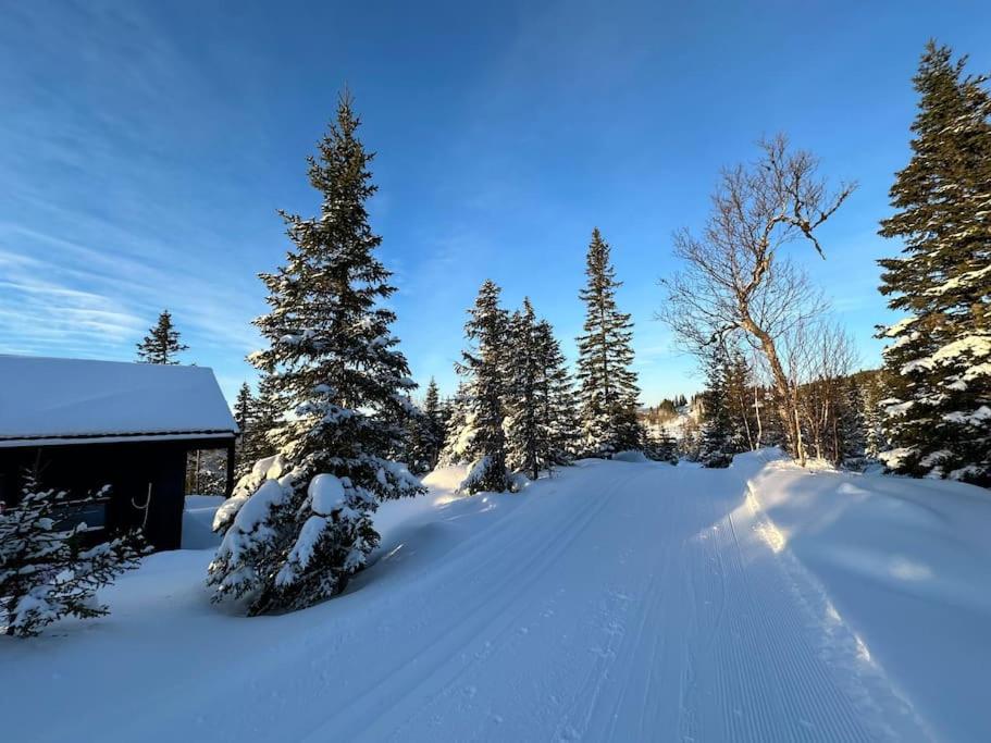 New chalet with great view