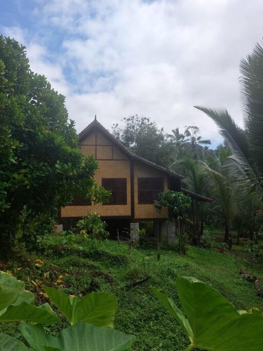 Ecolodge 1BR - JungleHavenBali view 3
