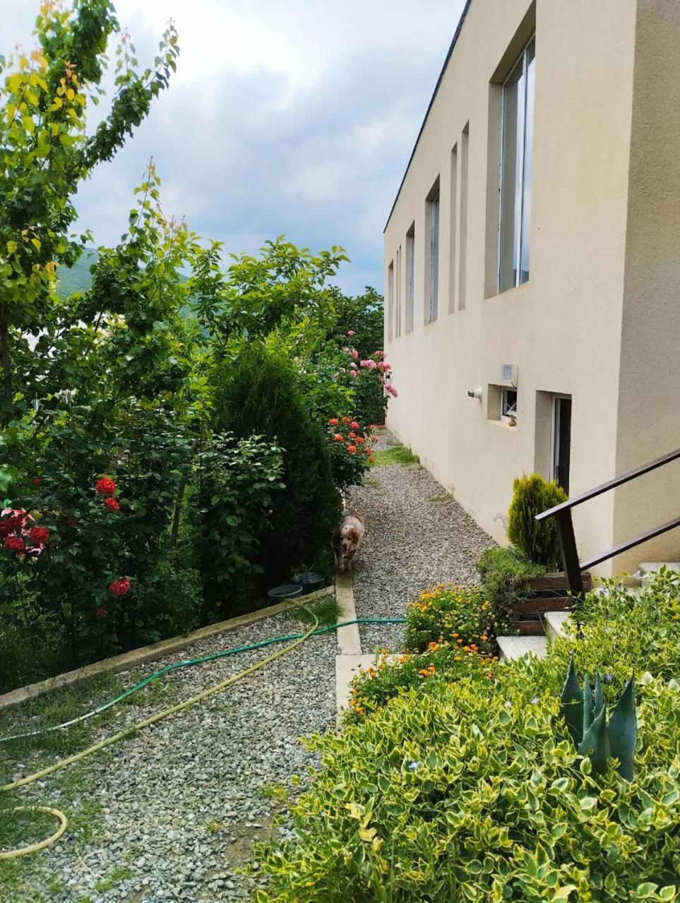 Villa Digomi - Family House view 2