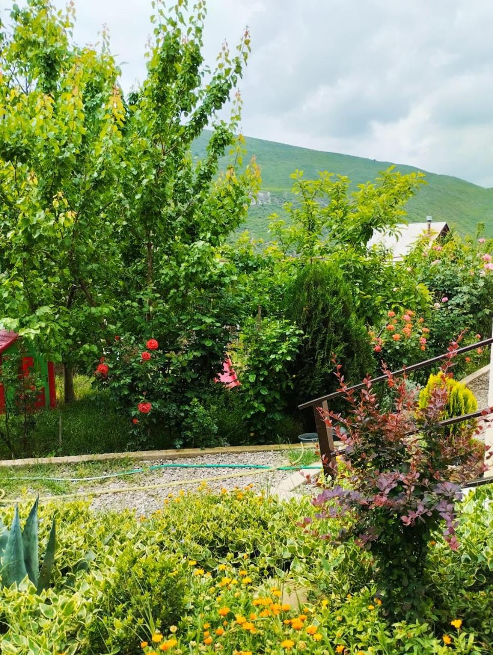 Villa Digomi - Family House view 3