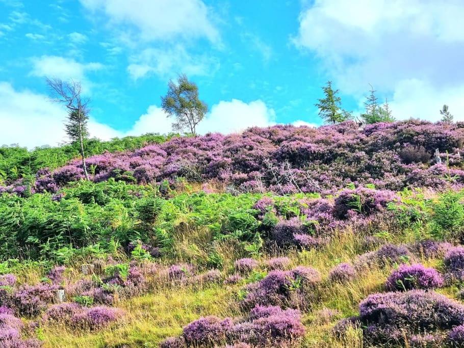 Heath House Loch Ness