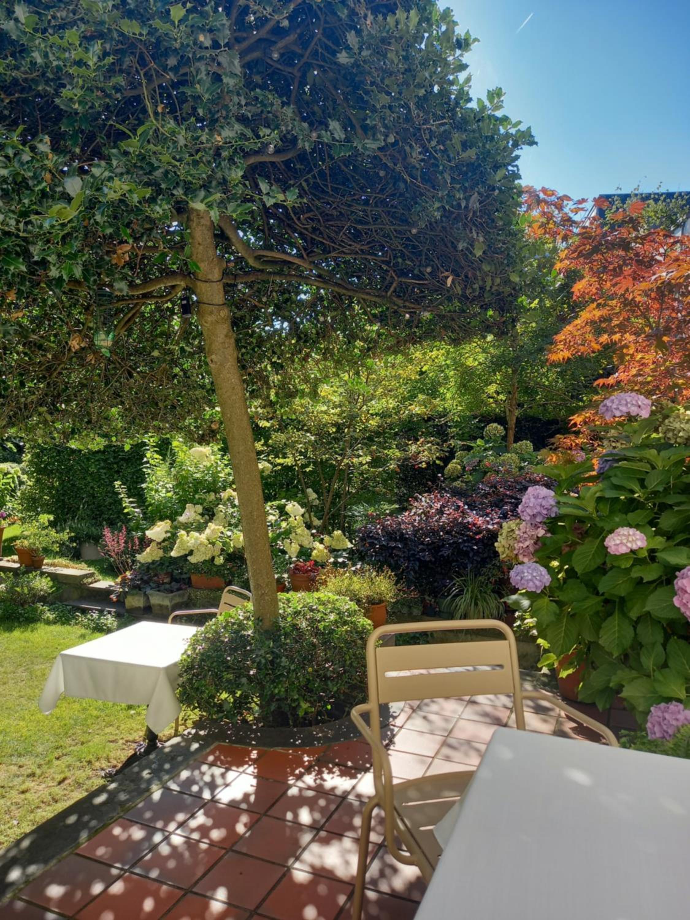 Huis Dujardin Bed&Breakfast