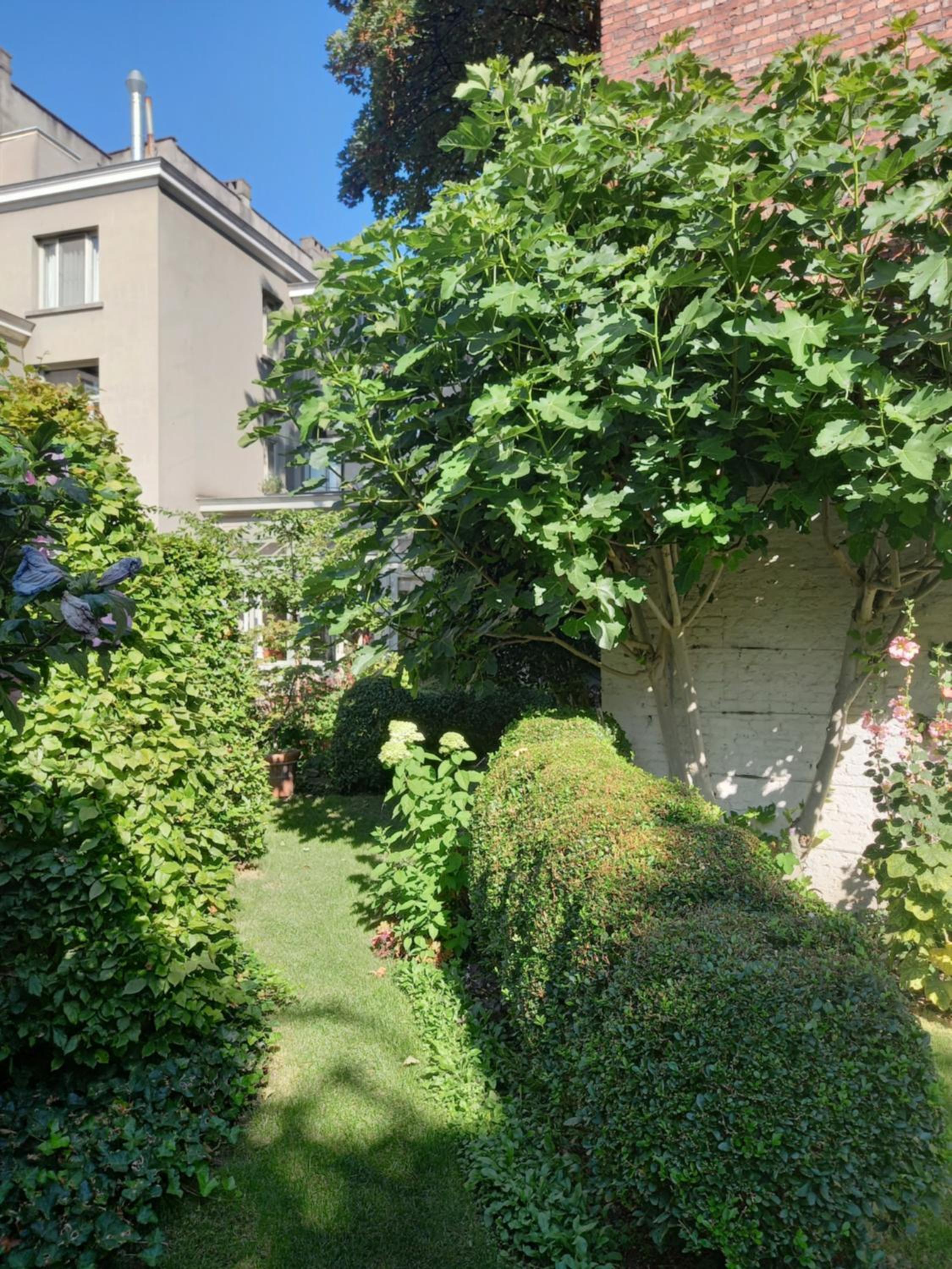 Huis Dujardin Bed&Breakfast