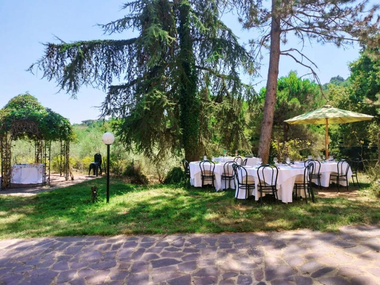 Podere delle Arti view 5