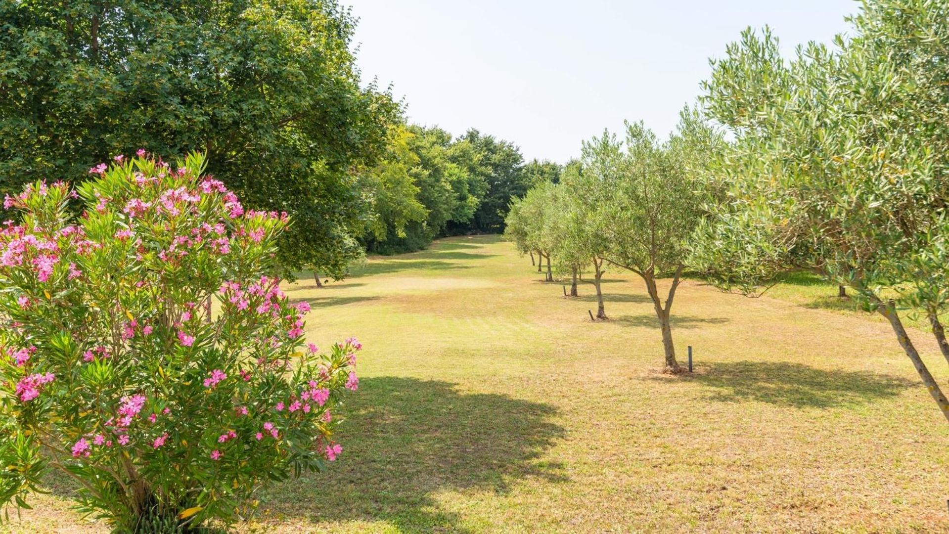 Villa Zivolic by Villas Holiday