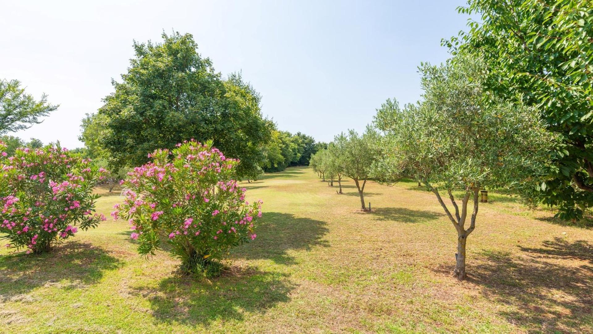 Villa Zivolic by Villas Holiday