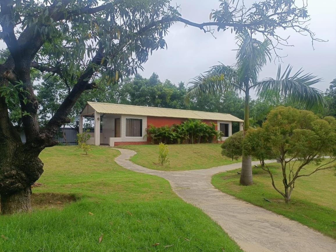 The Dream Forest Resort view 3