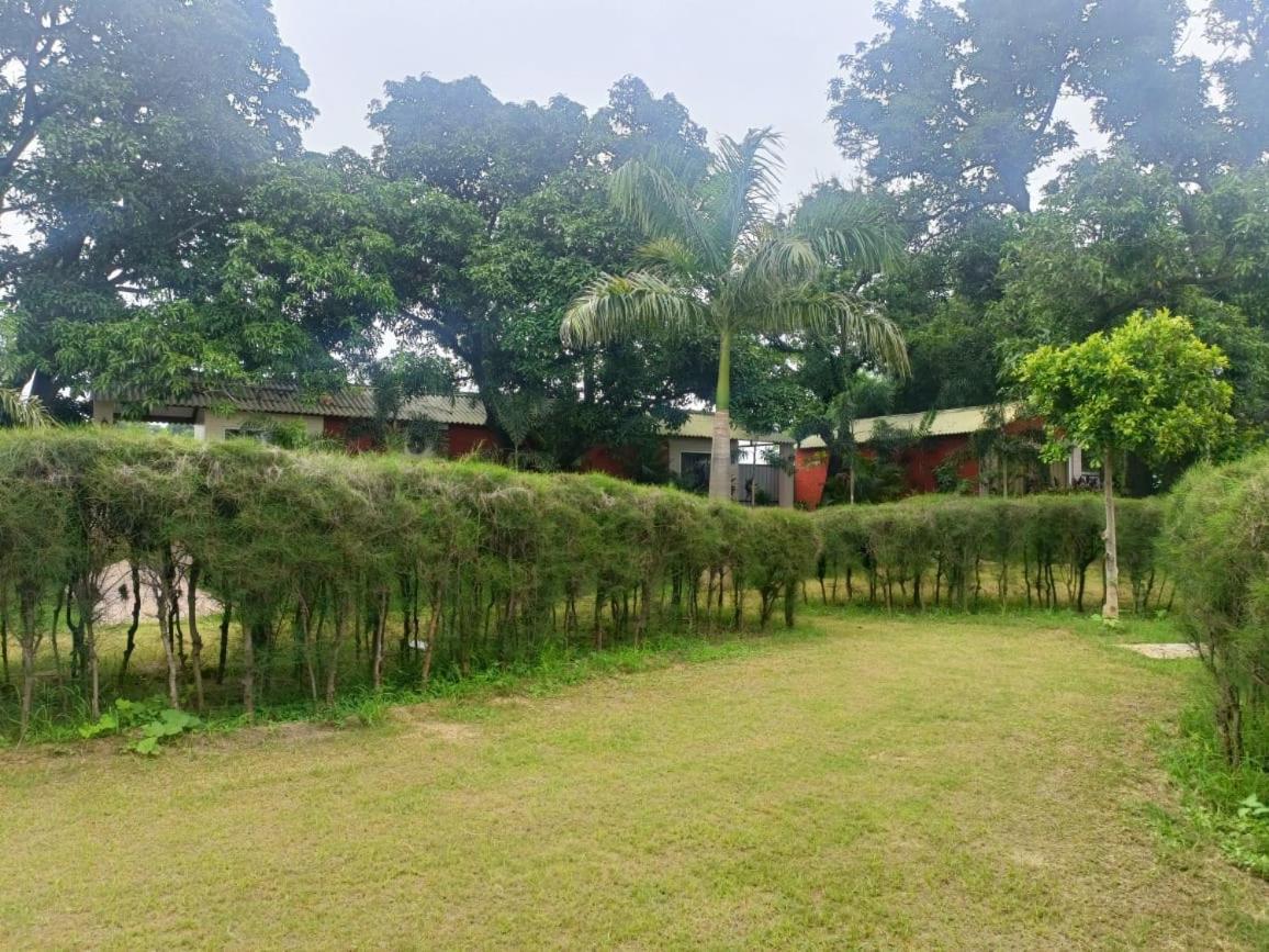 The Dream Forest Resort view 4