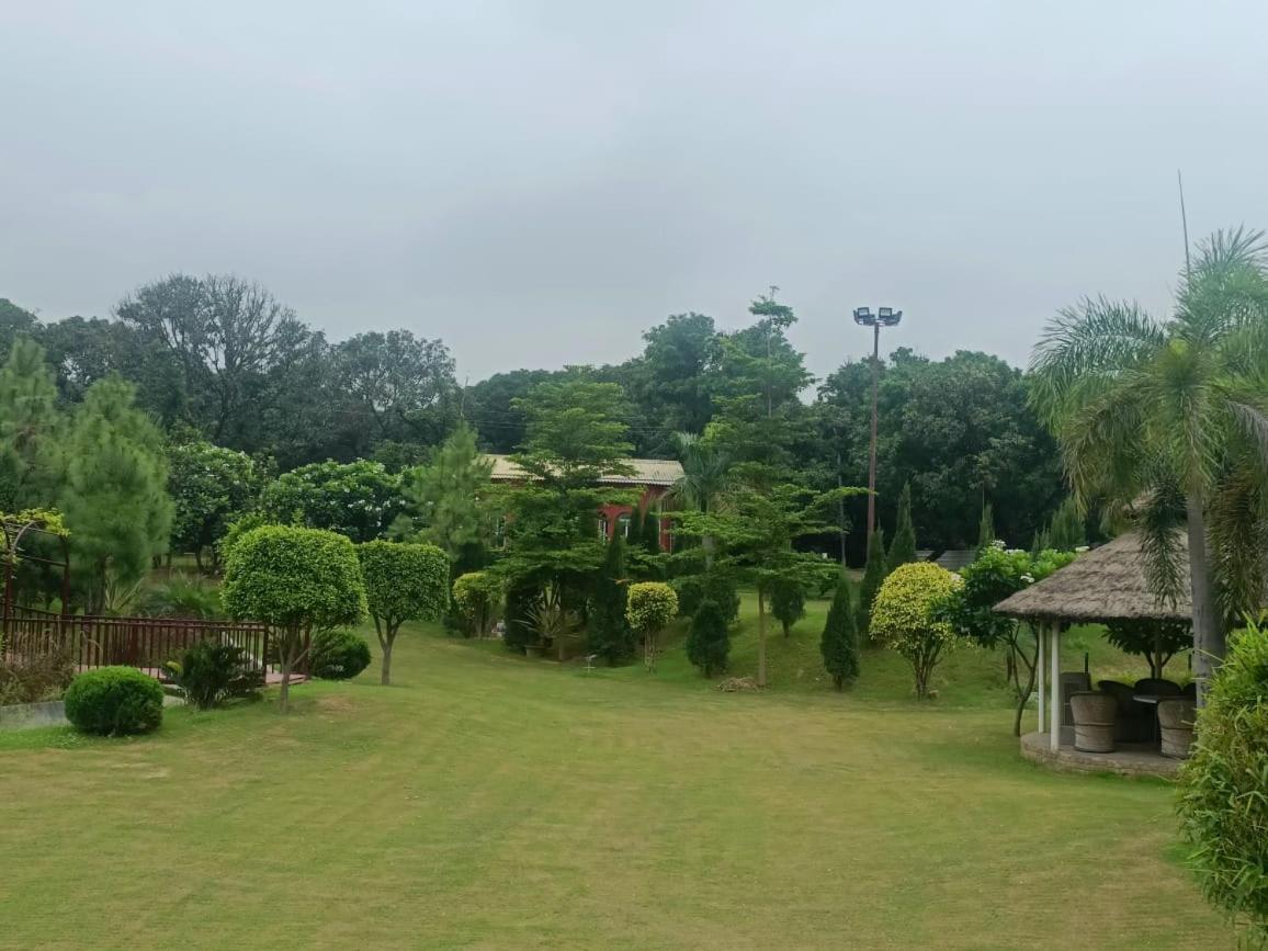 The Dream Forest Resort view 5