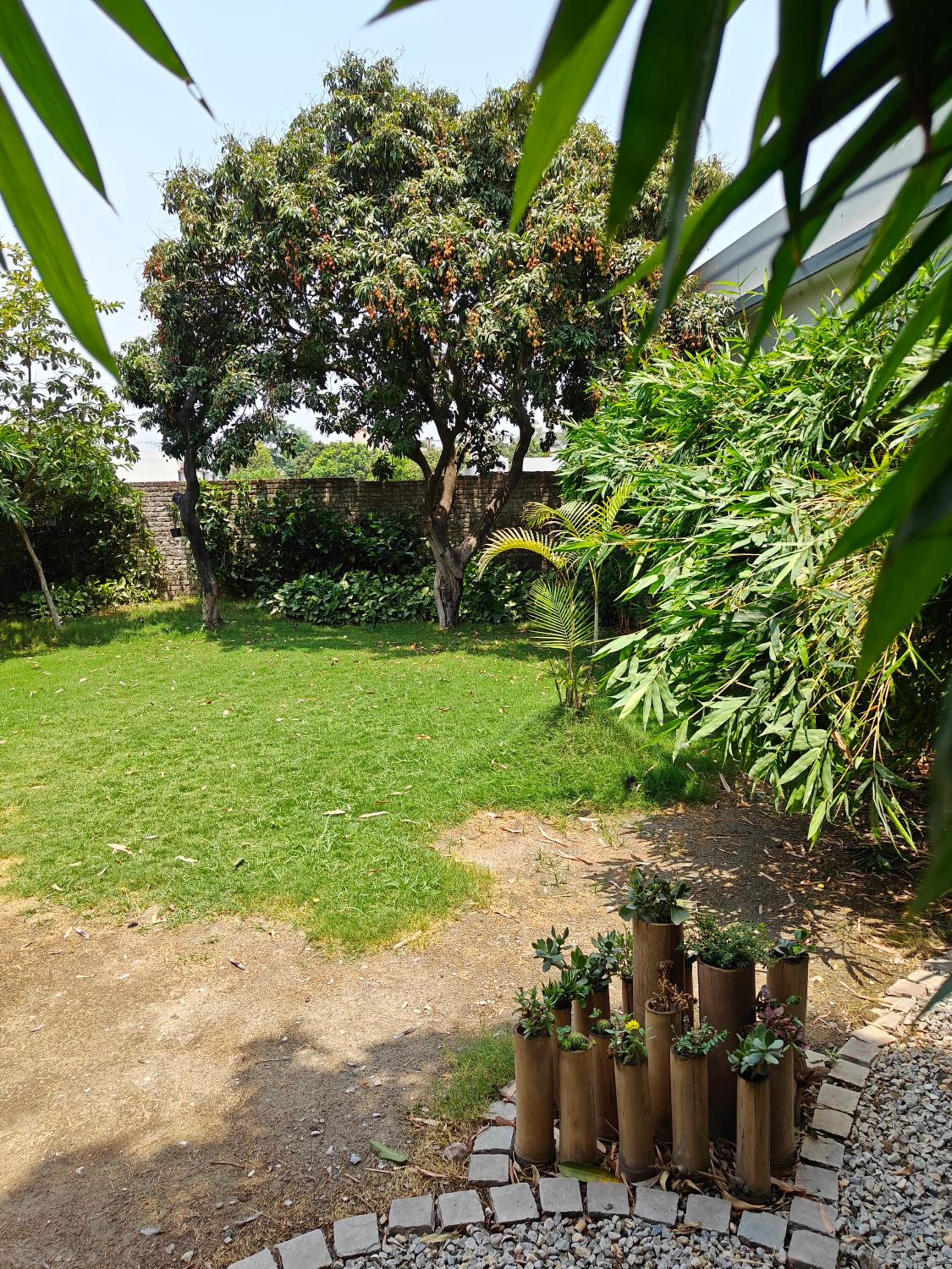 Photo 28