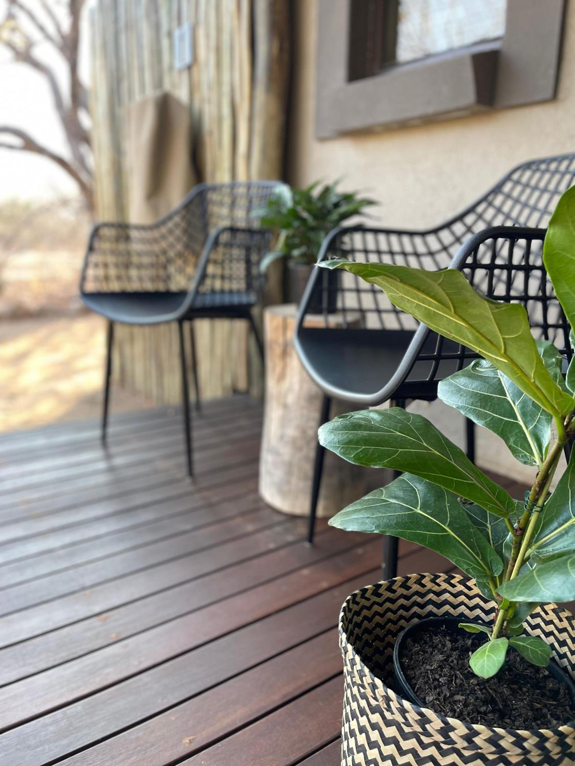 The Baobab Bush Lodge and Villa