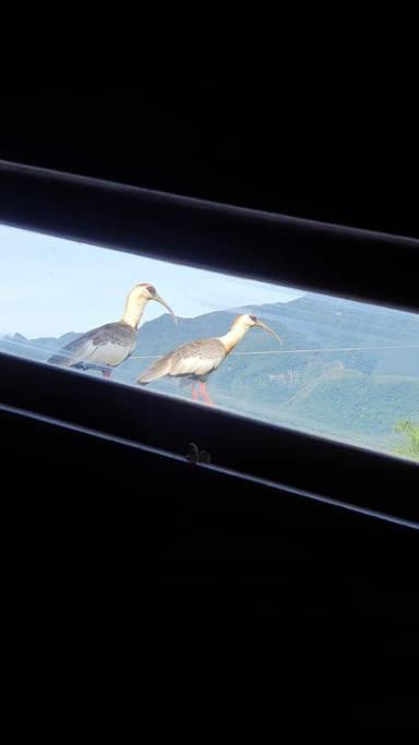 Casa de montanha com hidro no pé da serra