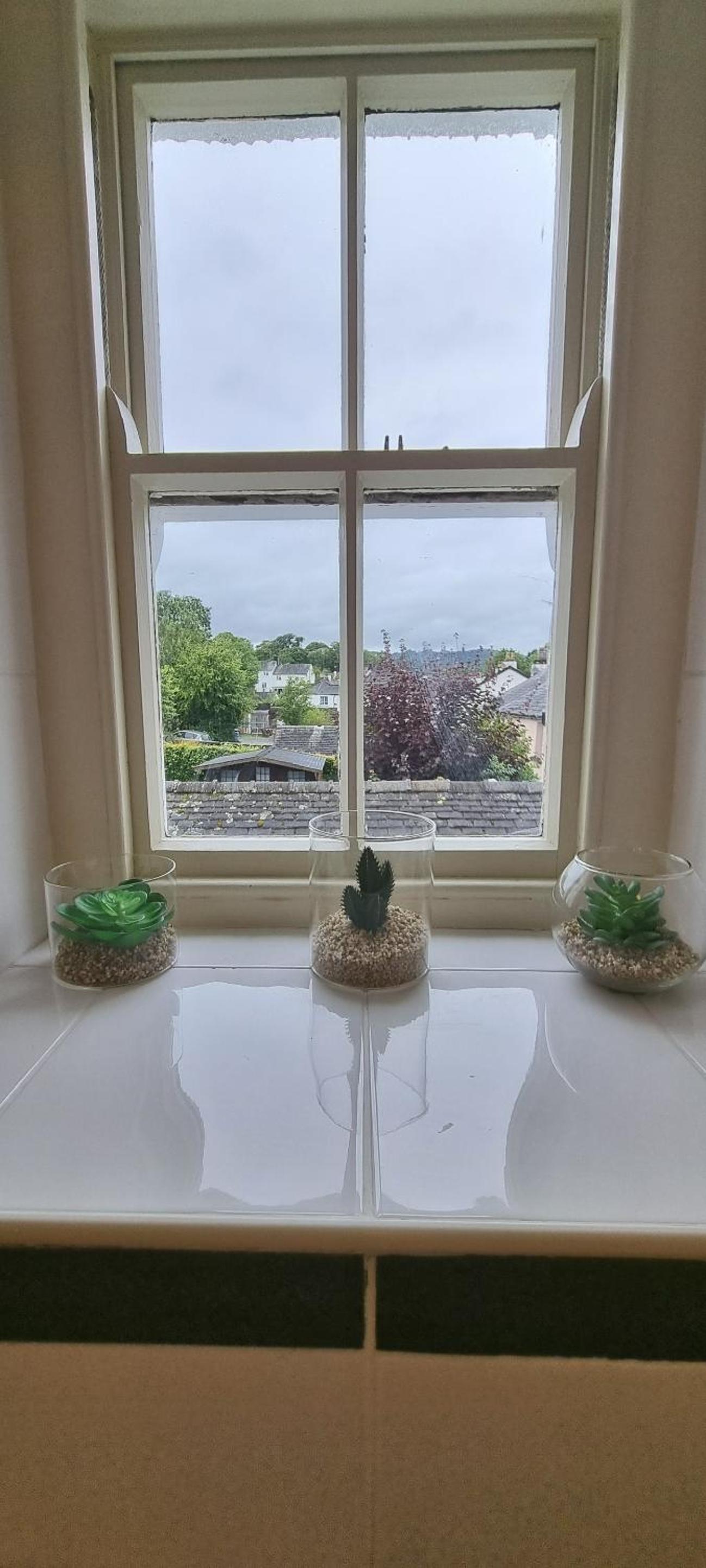 Ivy Guest house