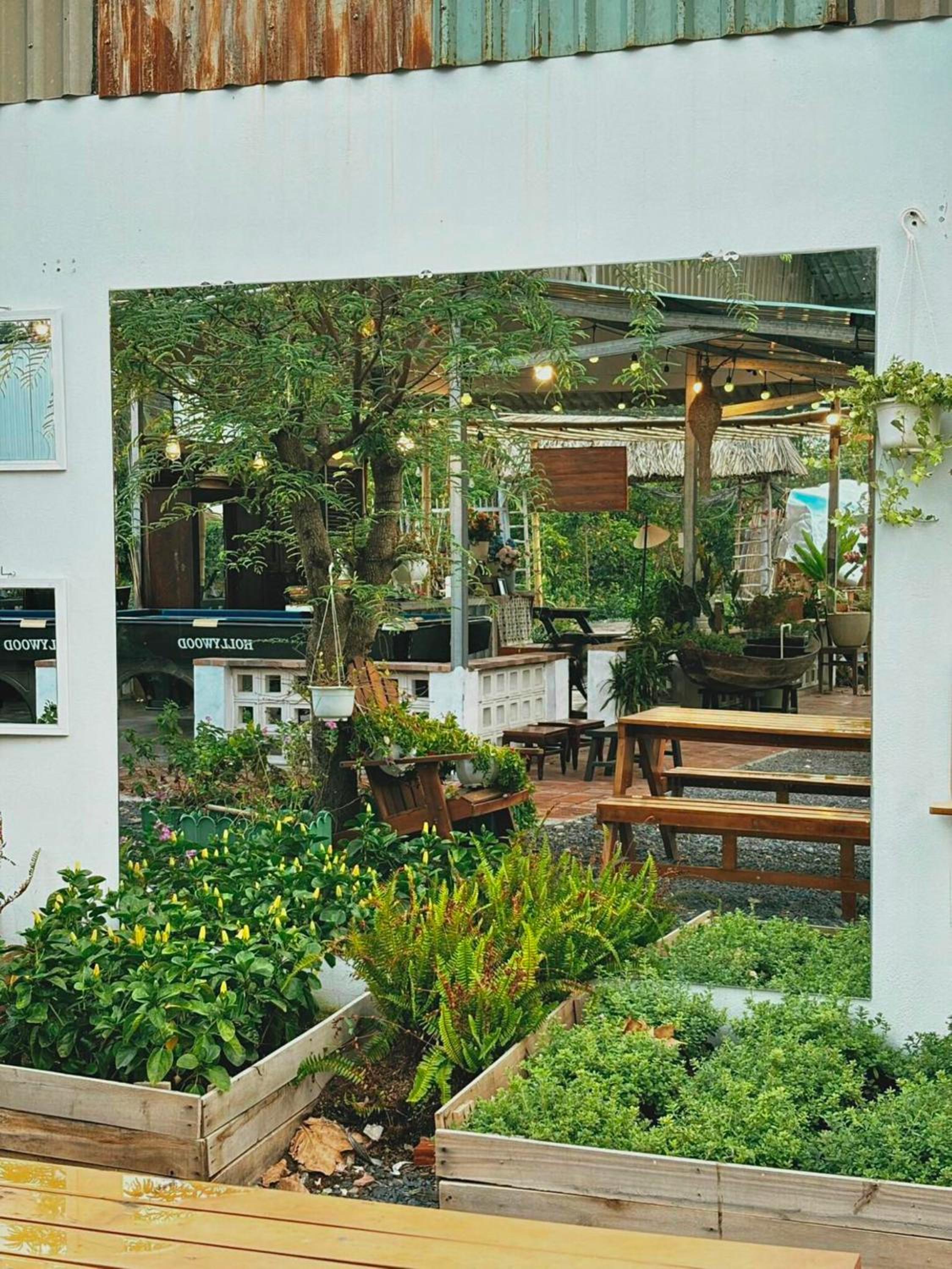 Yang Homestay B&B - Room