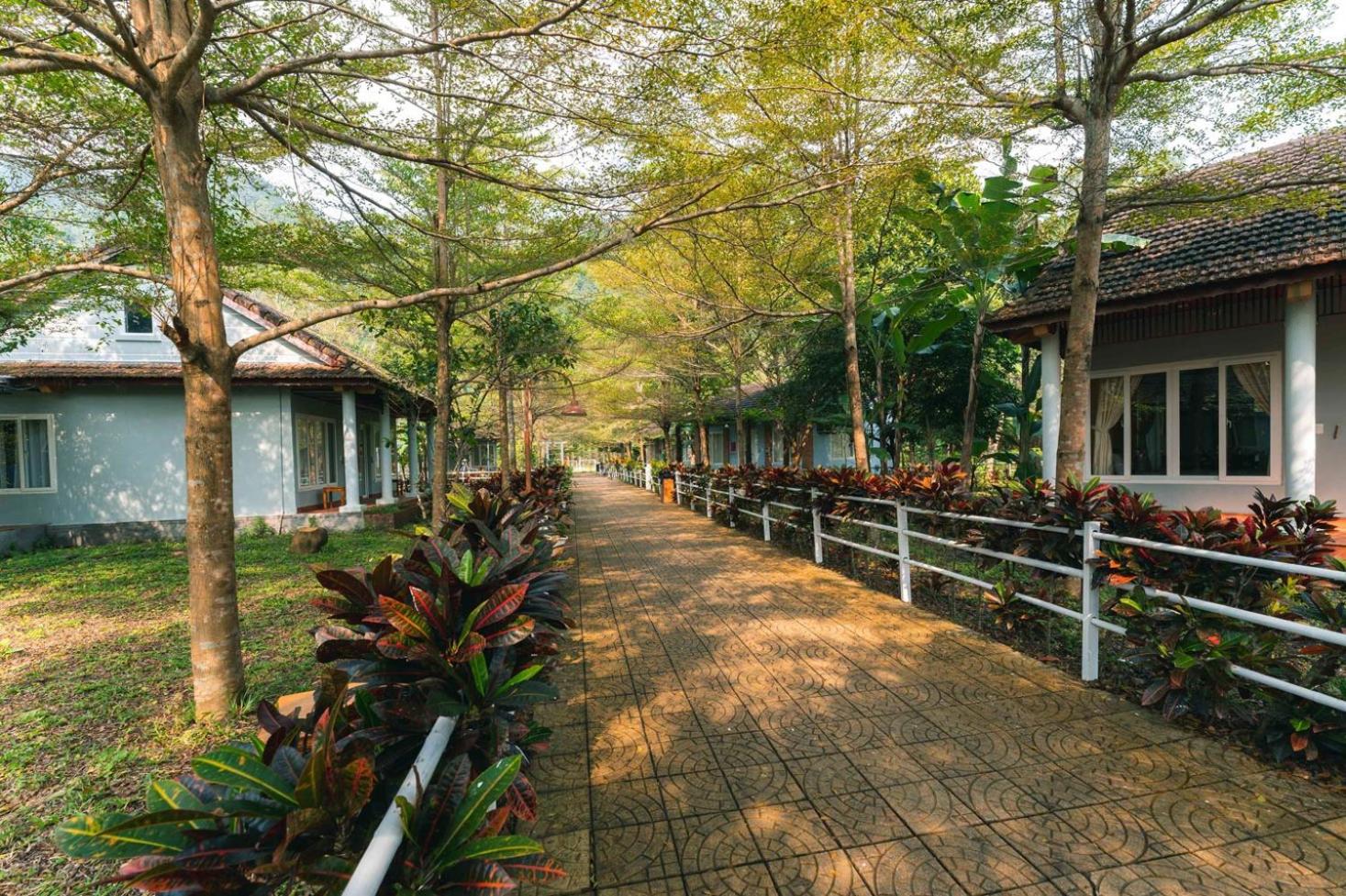 Chay Lap Farmstay Phong Nha