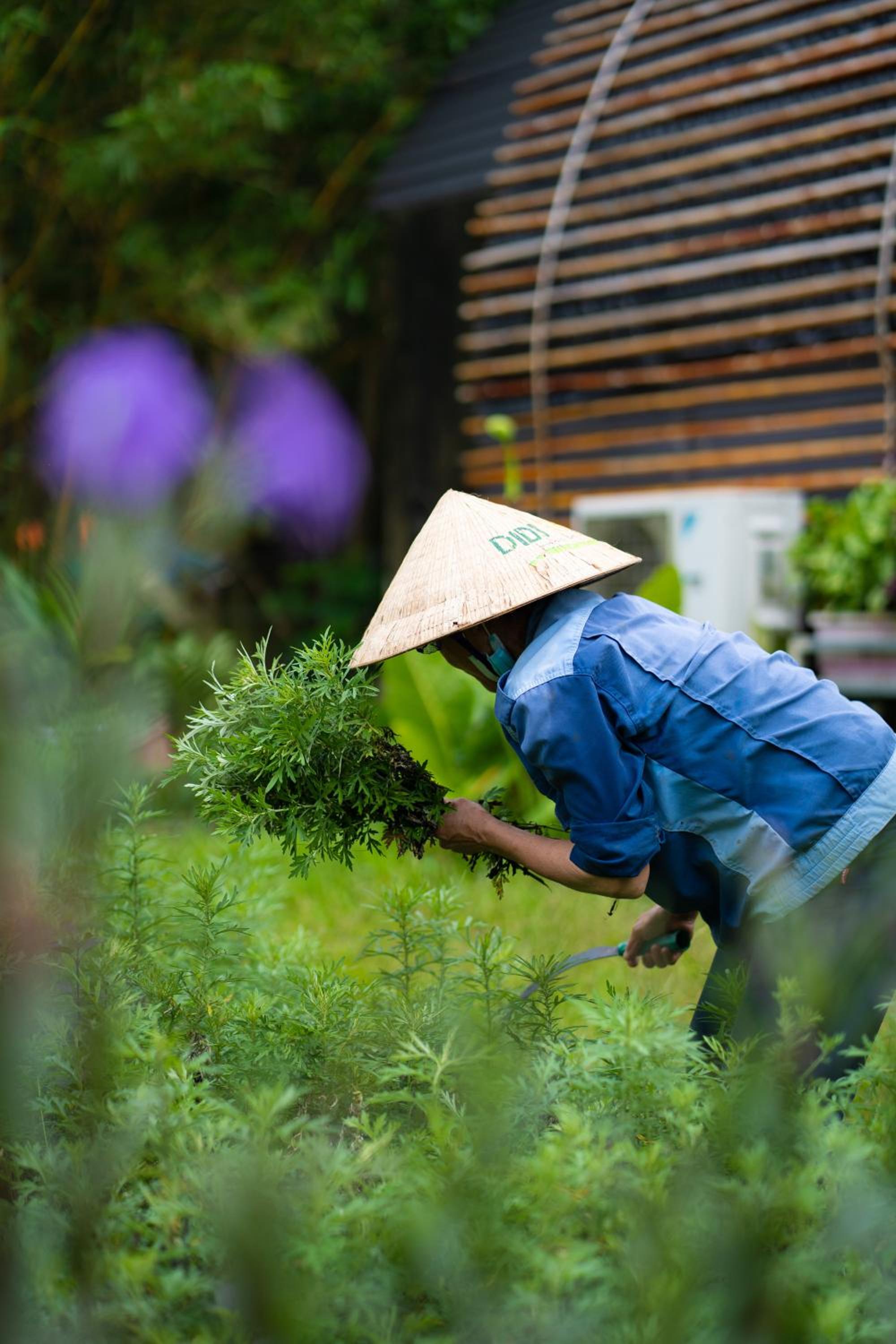 Chay Lap Farmstay Phong Nha