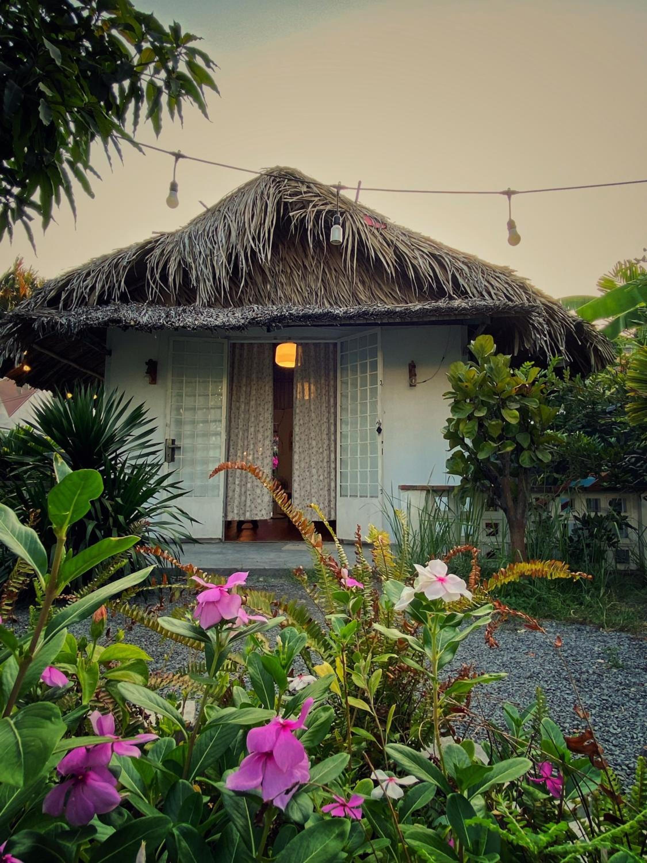 Yang Homestay B&B - Room