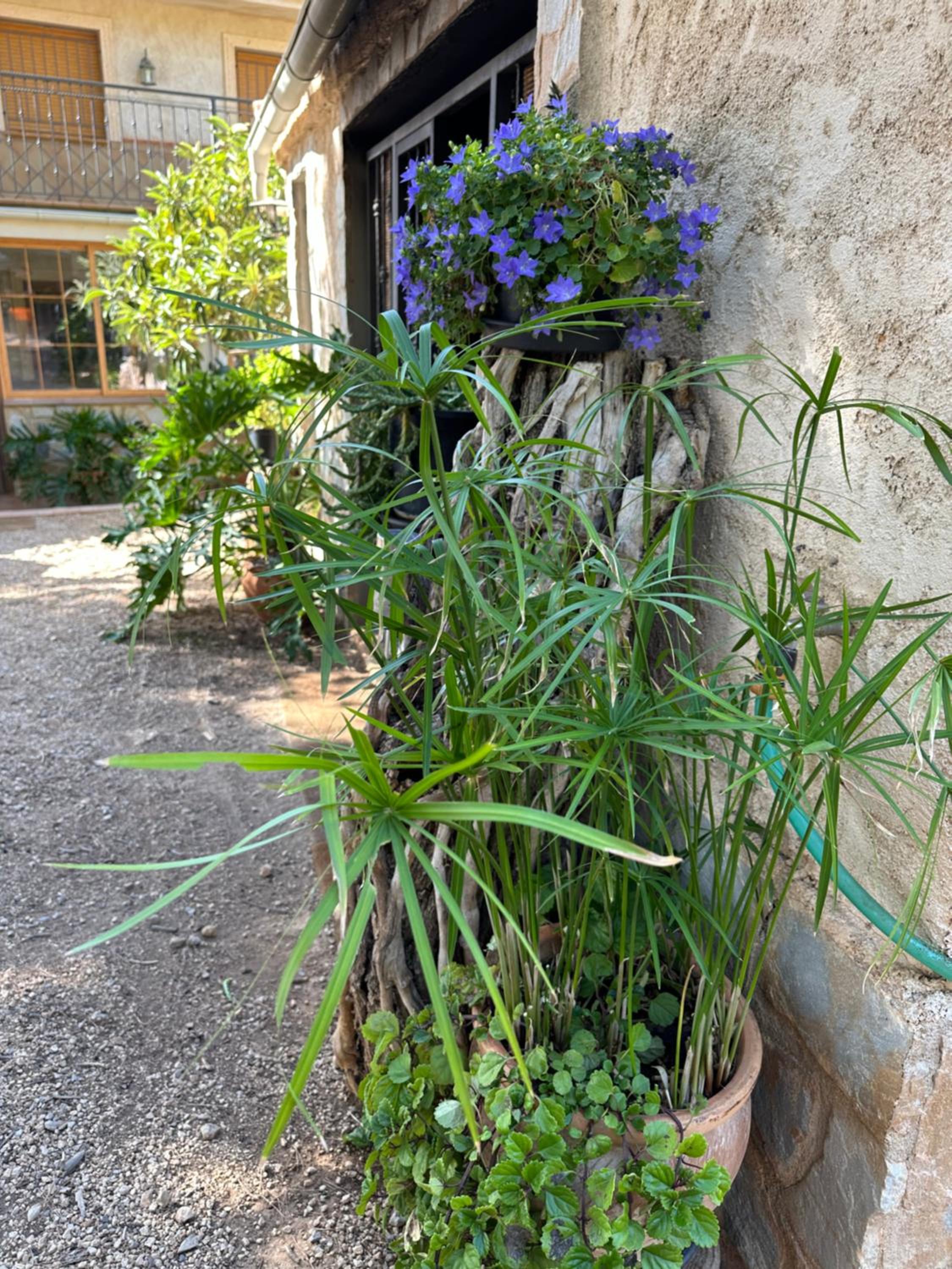 Casas Rurales Cerro Lobo
