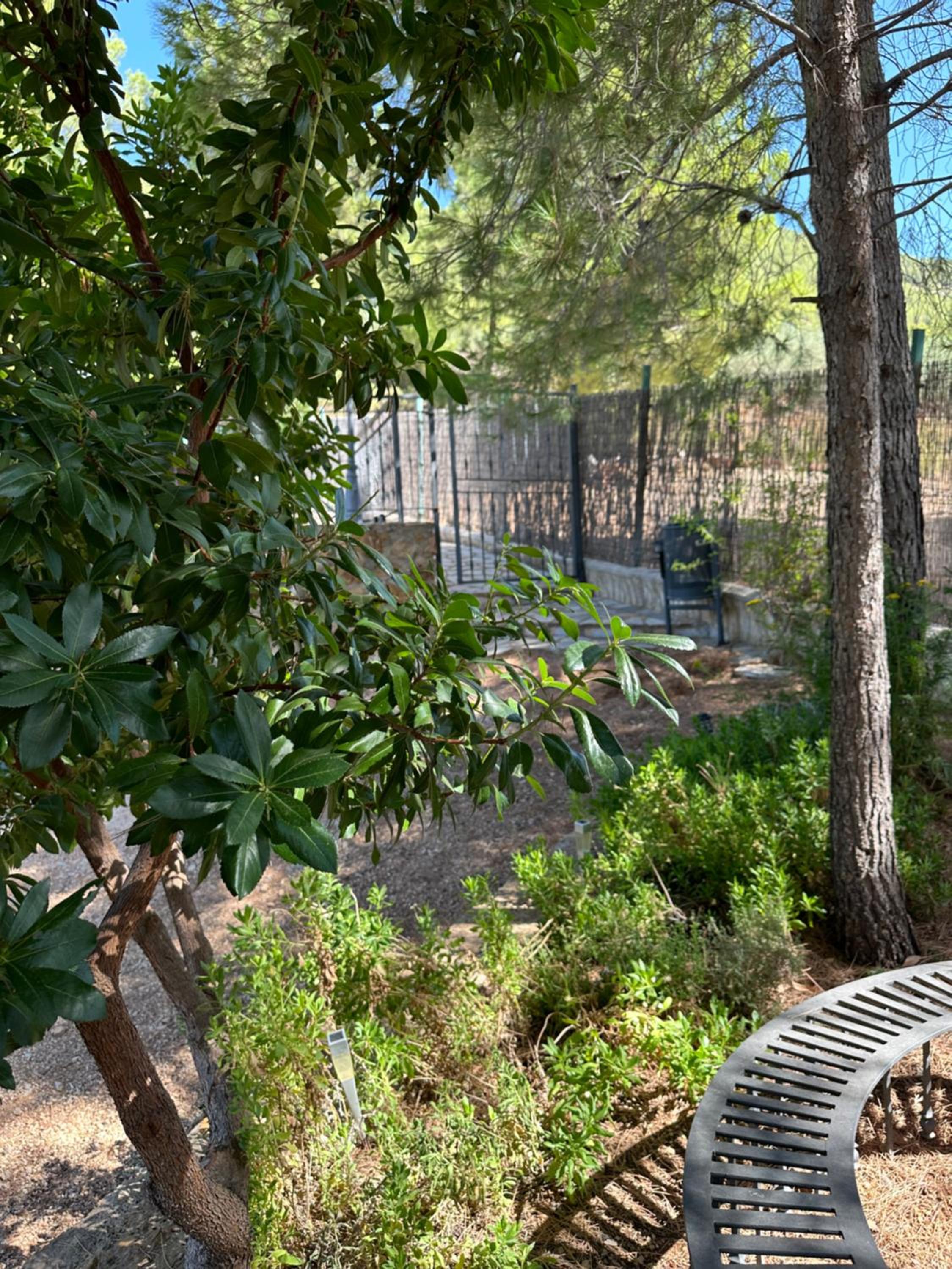 Casas Rurales Cerro Lobo