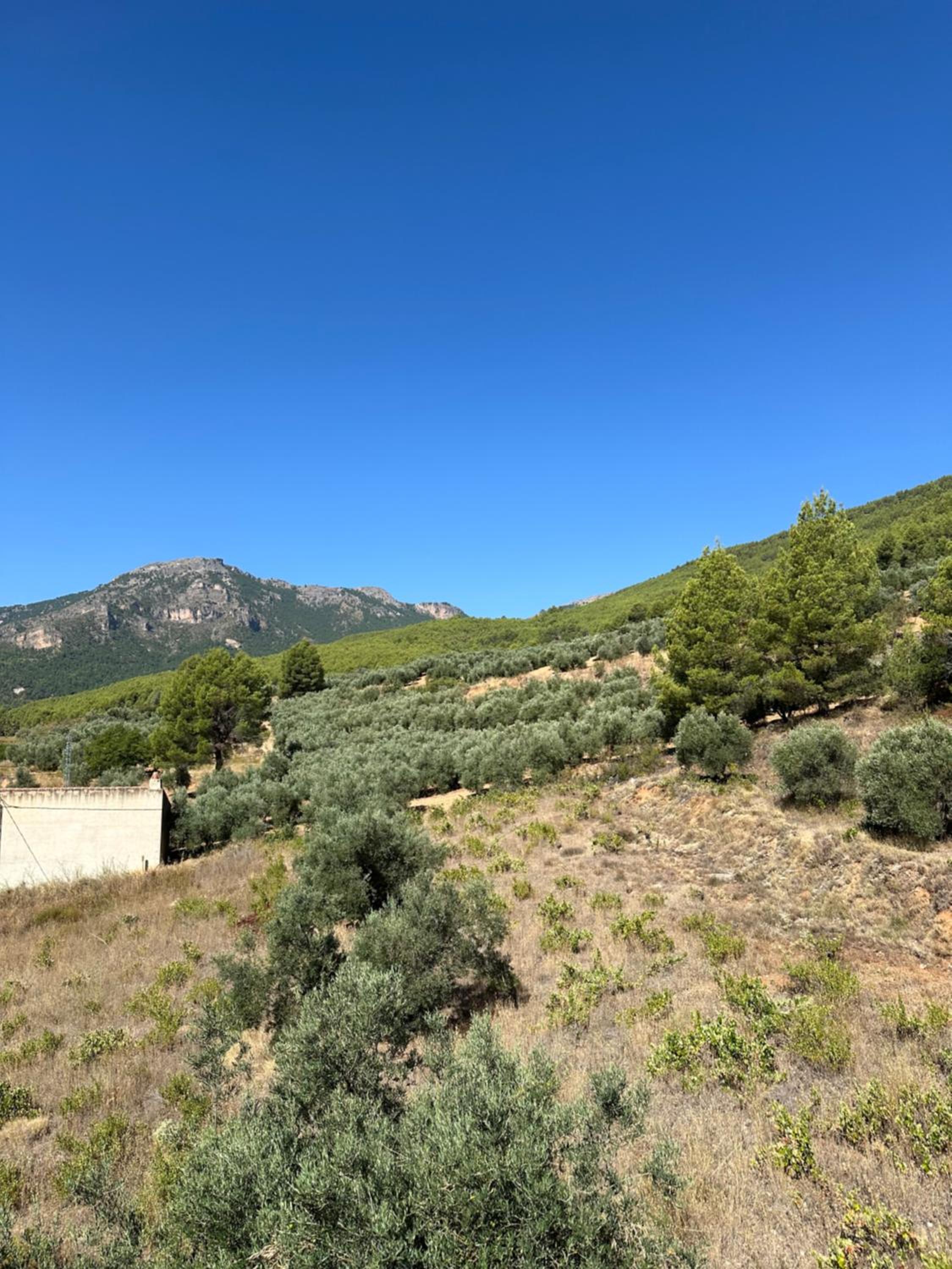 Casas Rurales Cerro Lobo
