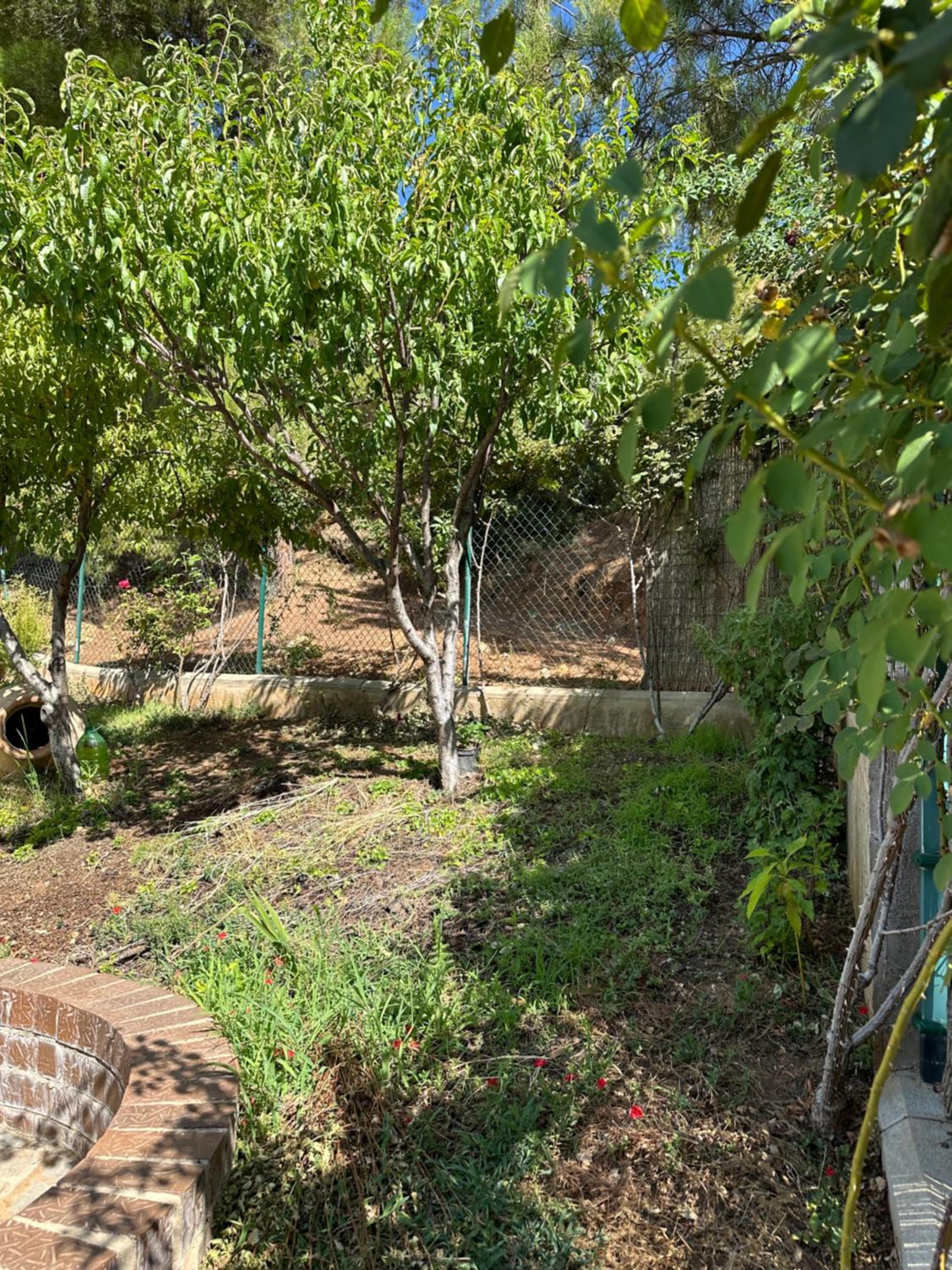 Casas Rurales Cerro Lobo