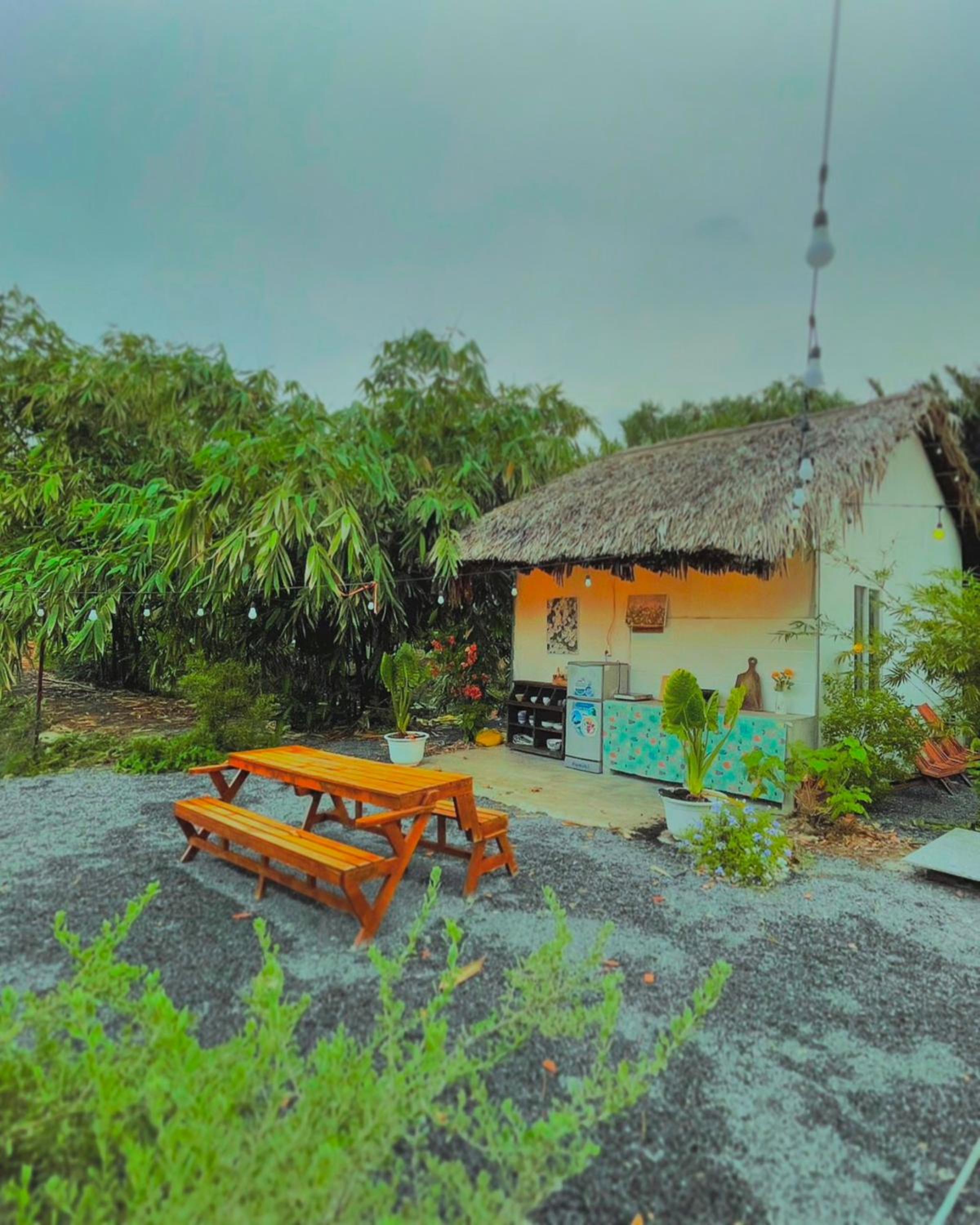 Yang Homestay B&B - Room
