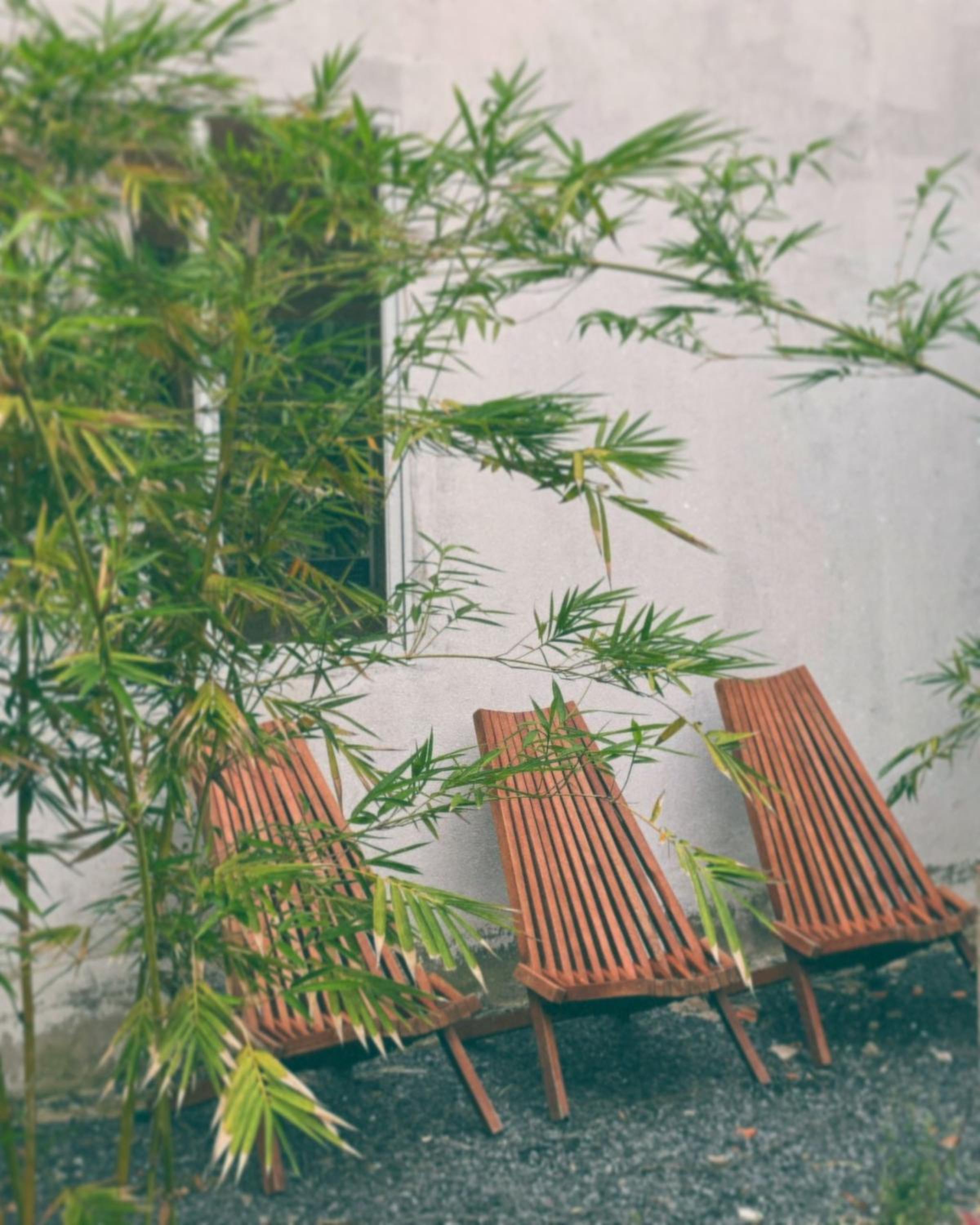 Yang Homestay B&B - Room