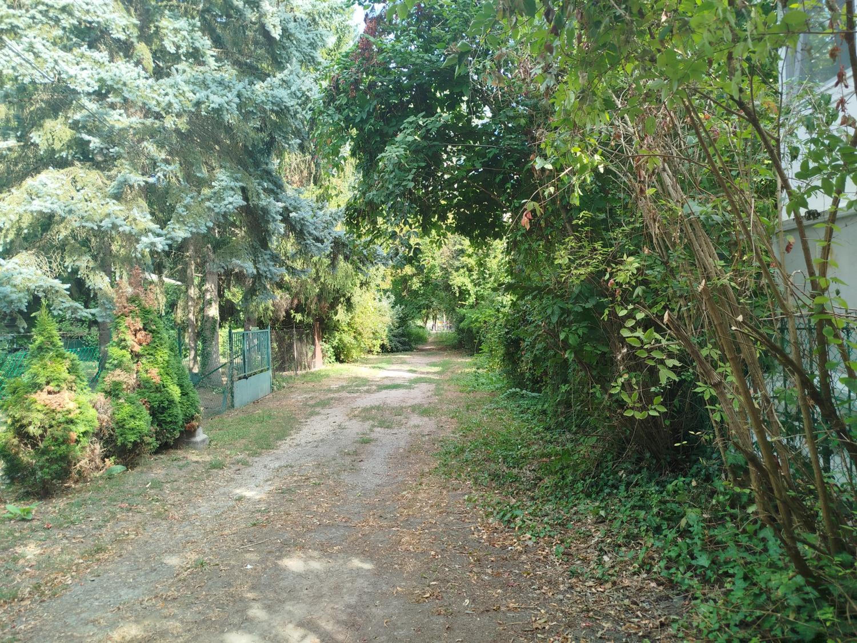Sellő vendégház