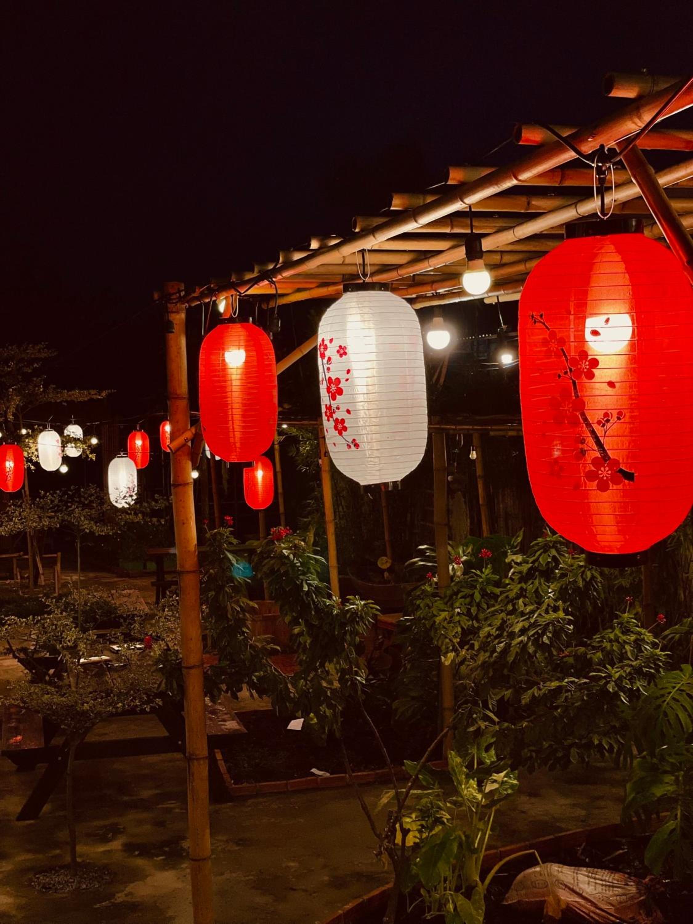 Yang Homestay B&B - Room