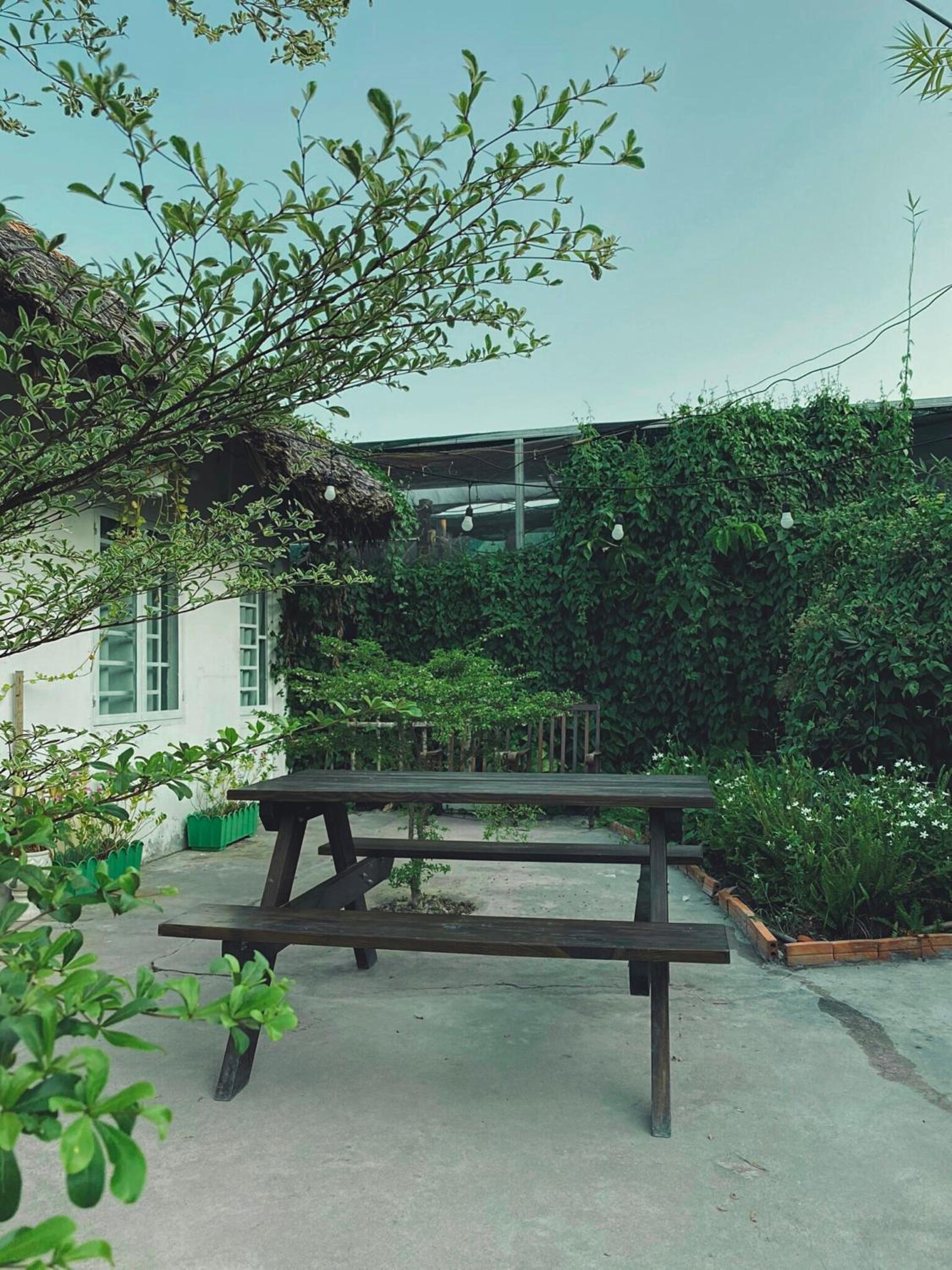 Yang Homestay B&B - Room