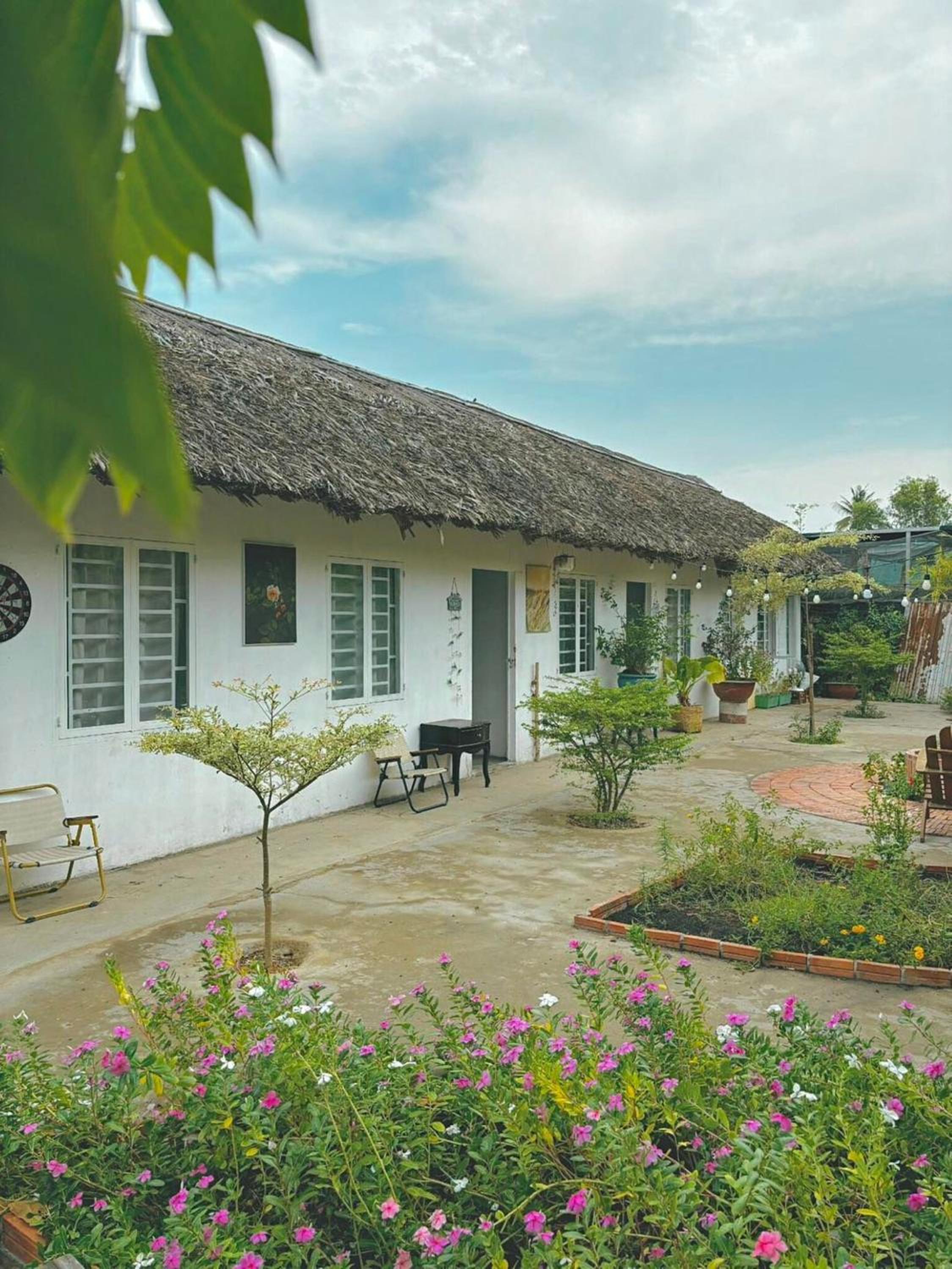 Yang Homestay B&B - Room