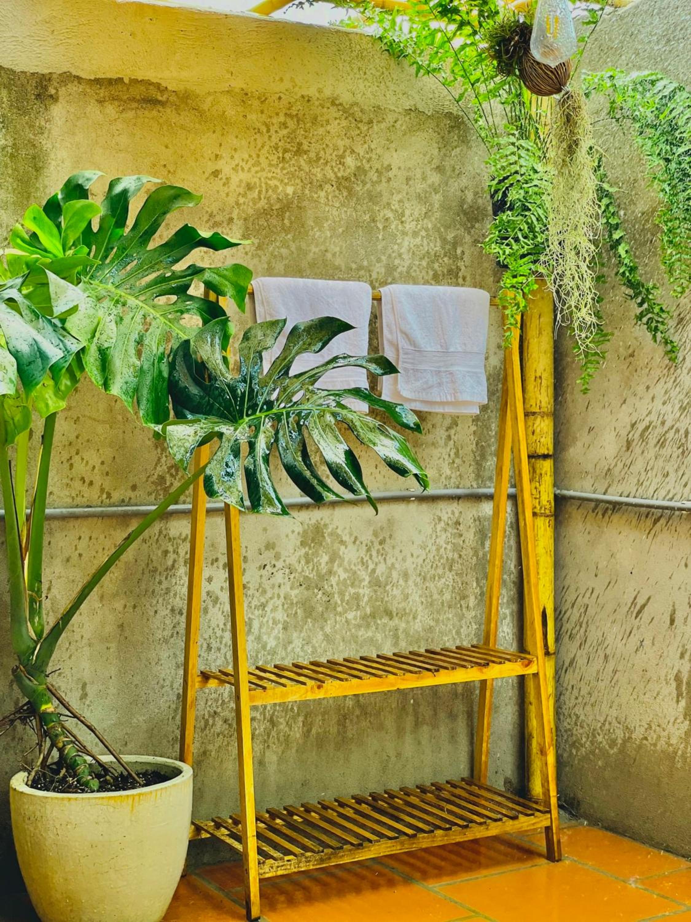 Yang Homestay B&B - Room