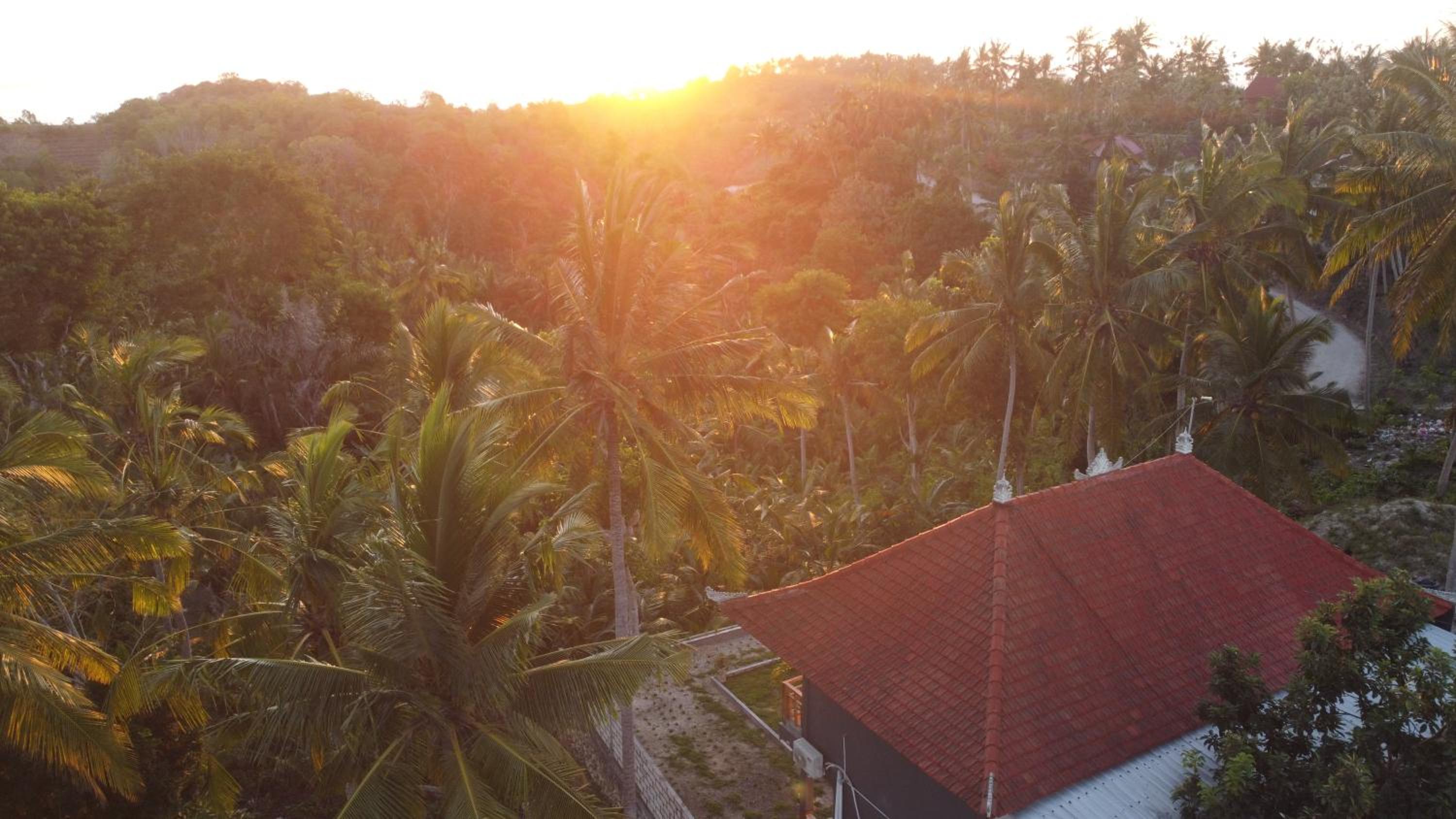 Palma House Kelingking view 2